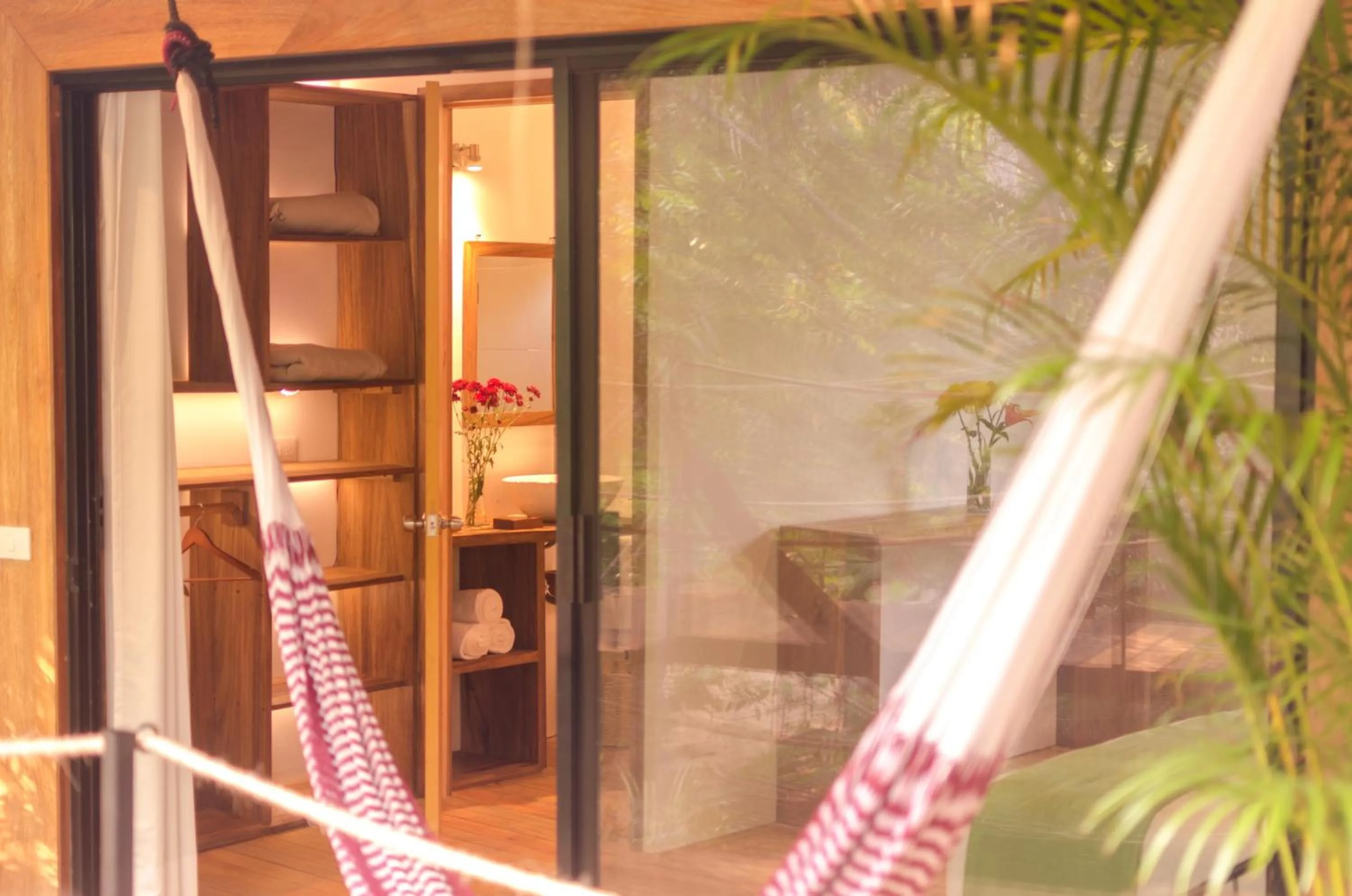 Photo of the whole room in Hotel Noga