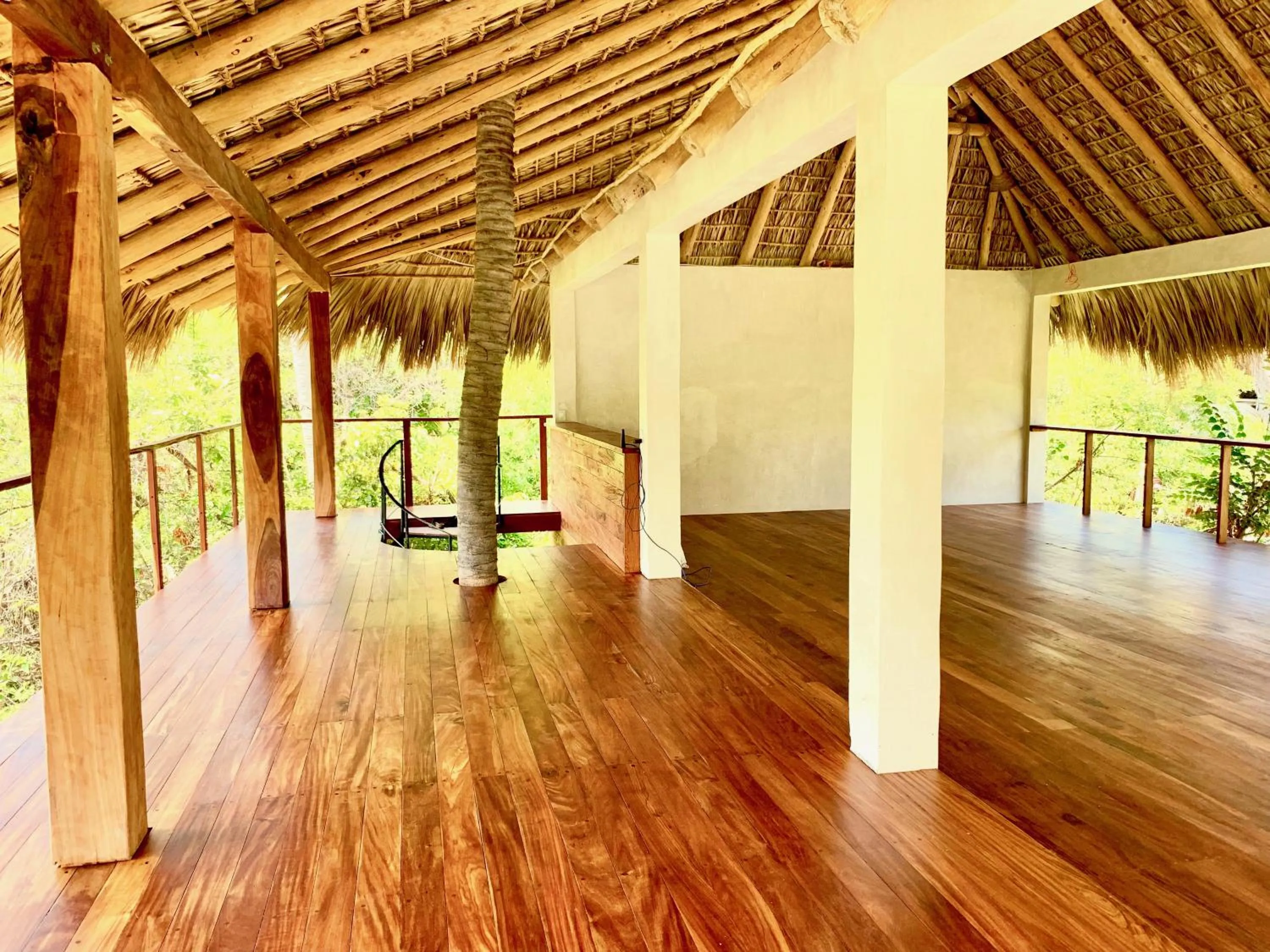 Area and facilities in Hotel Noga