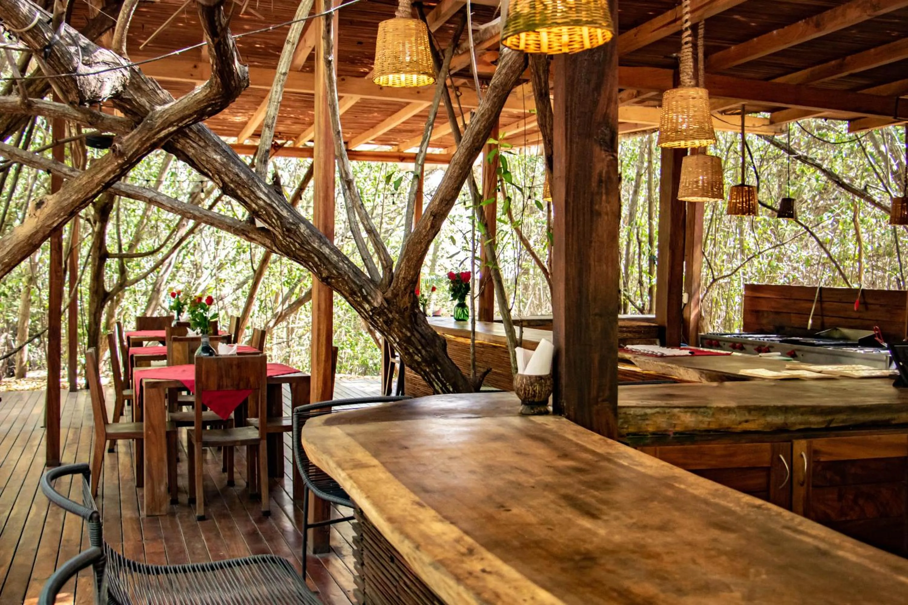 Restaurant/places to eat in Hotel Noga