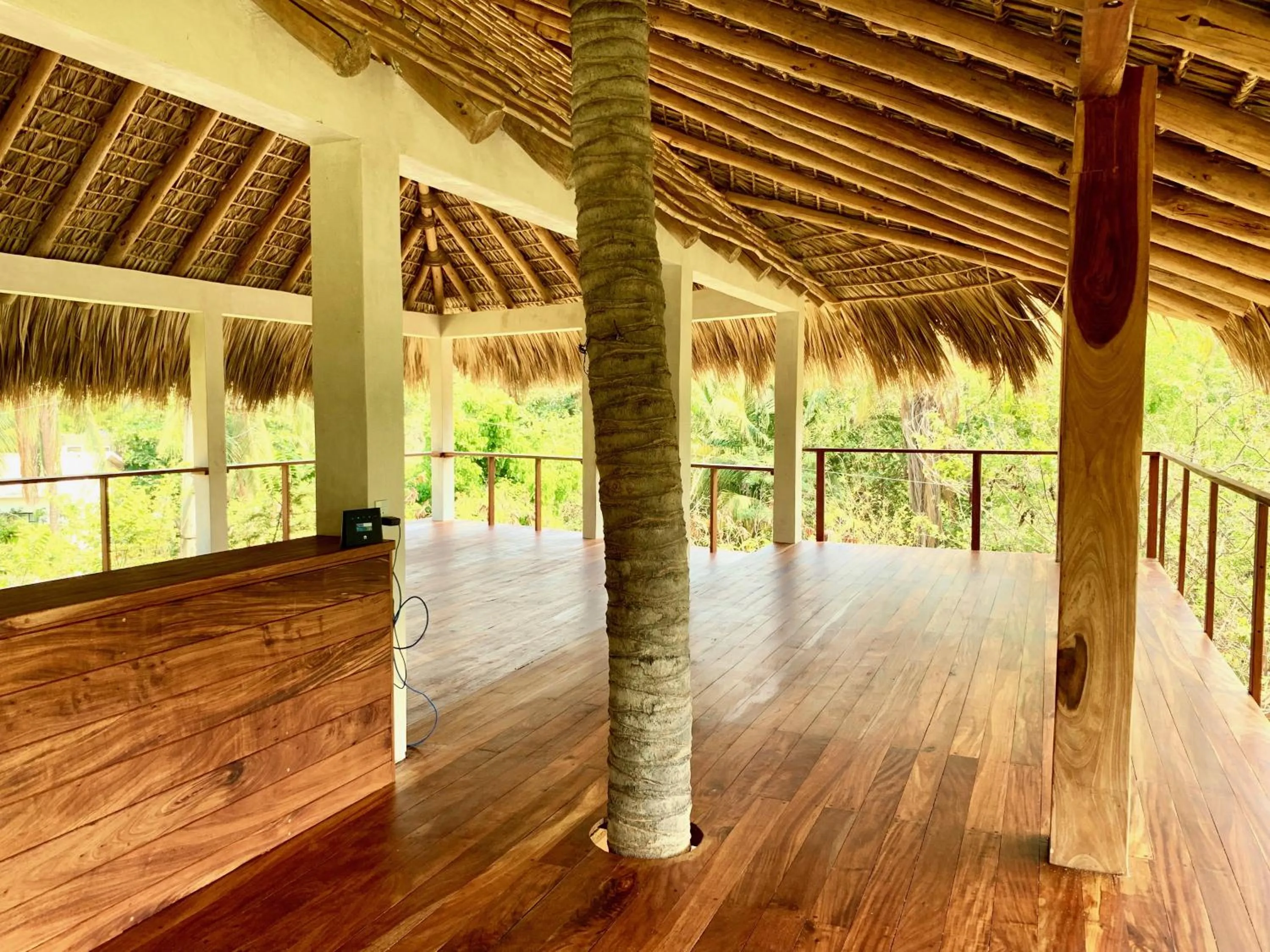 Area and facilities in Hotel Noga