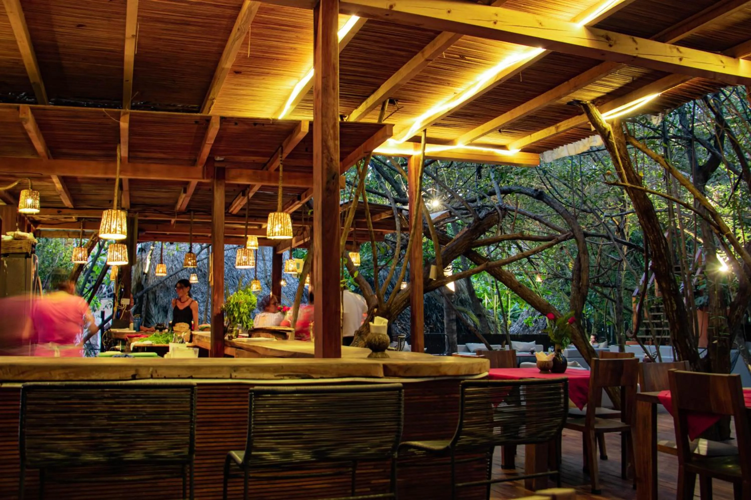 Restaurant/places to eat in Hotel Noga