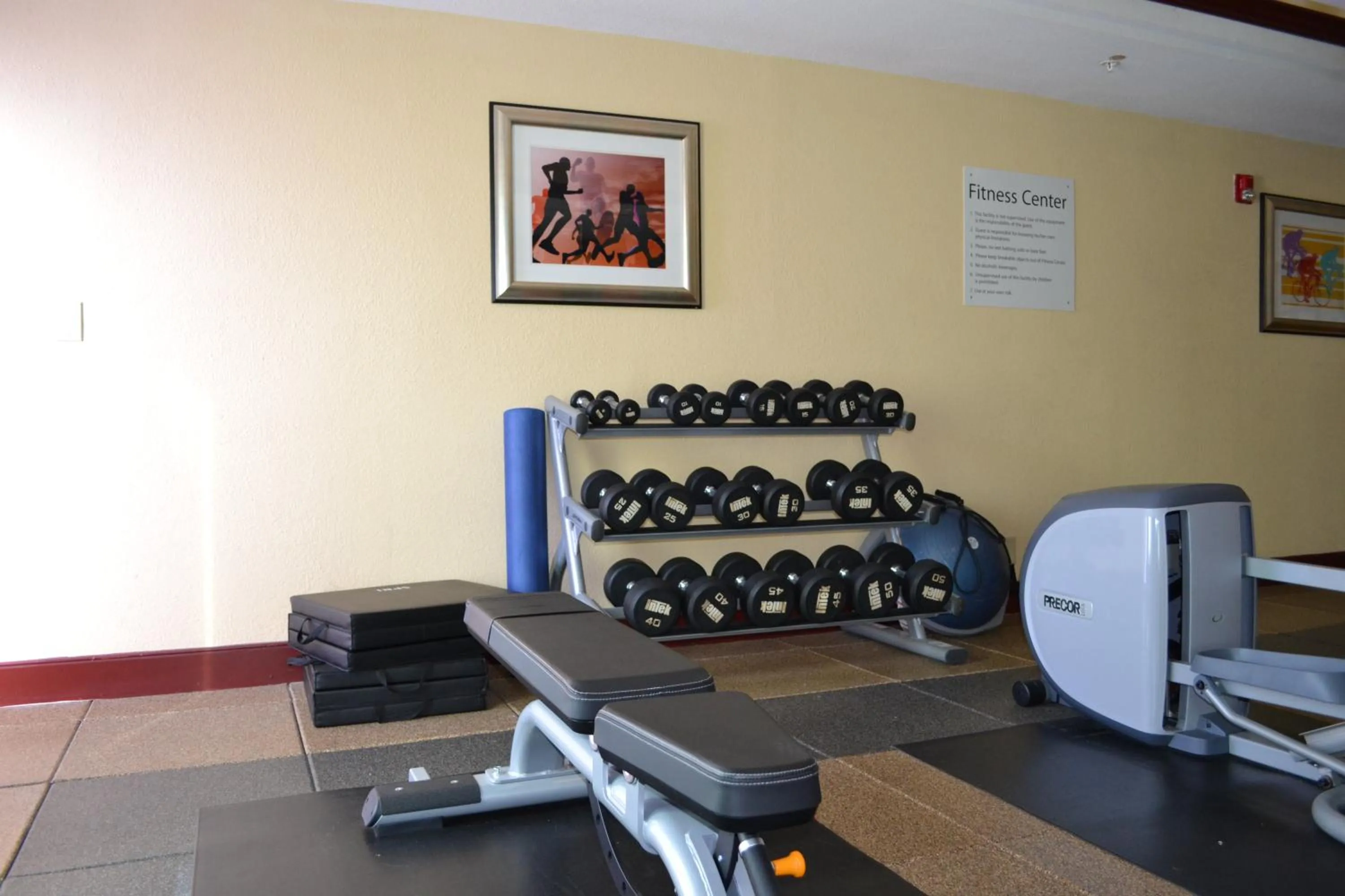 Fitness centre/facilities in Holiday Inn Express Hotel & Suites Gainesville by IHG