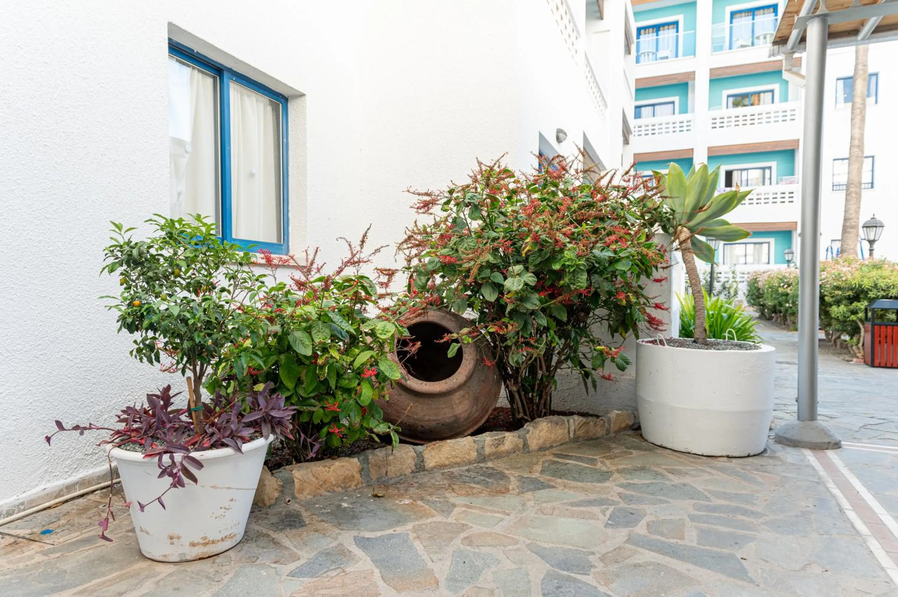 Property building in Kefalos Damon Hotel Apartments