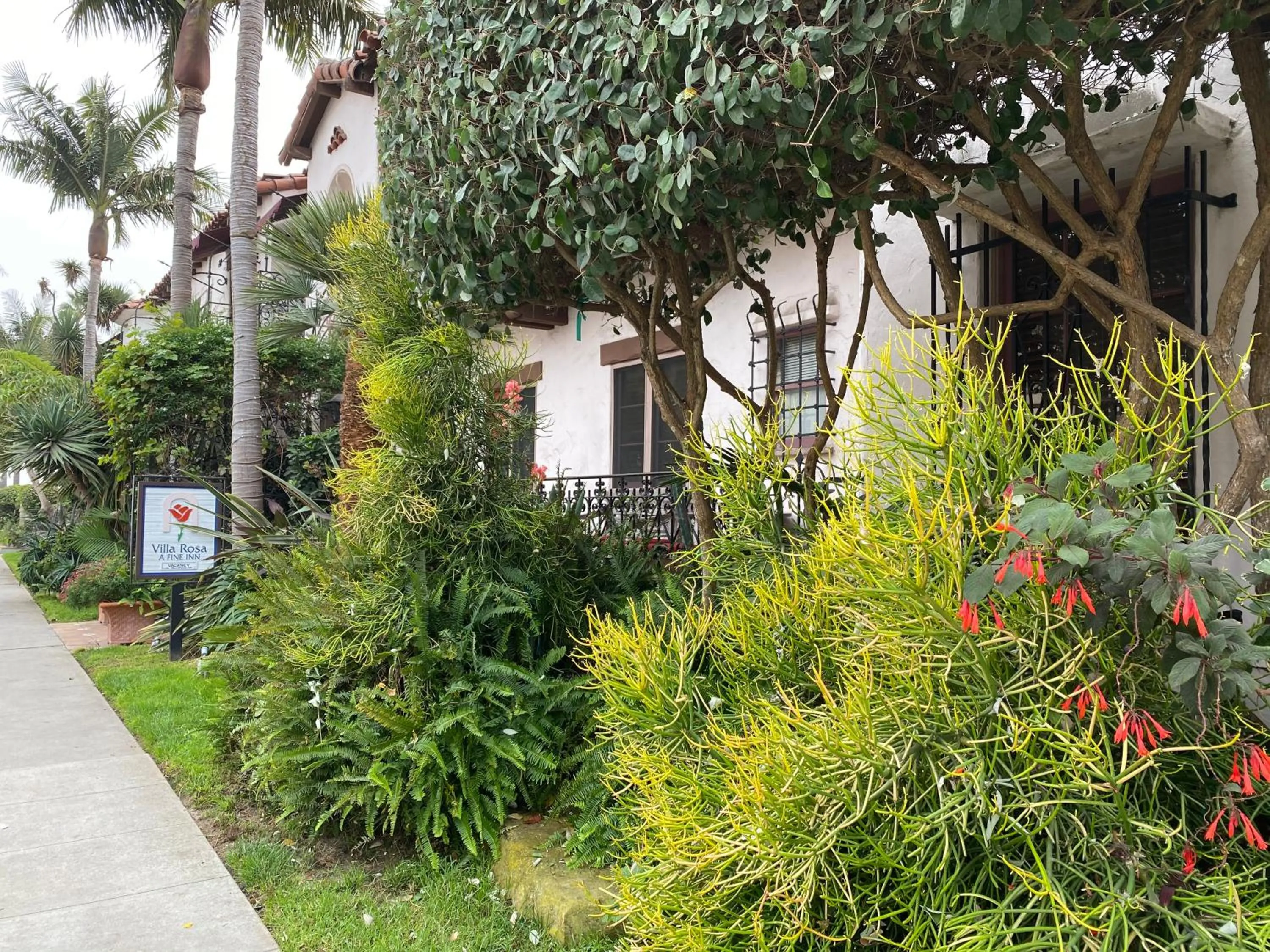 Garden in Villa Rosa Inn