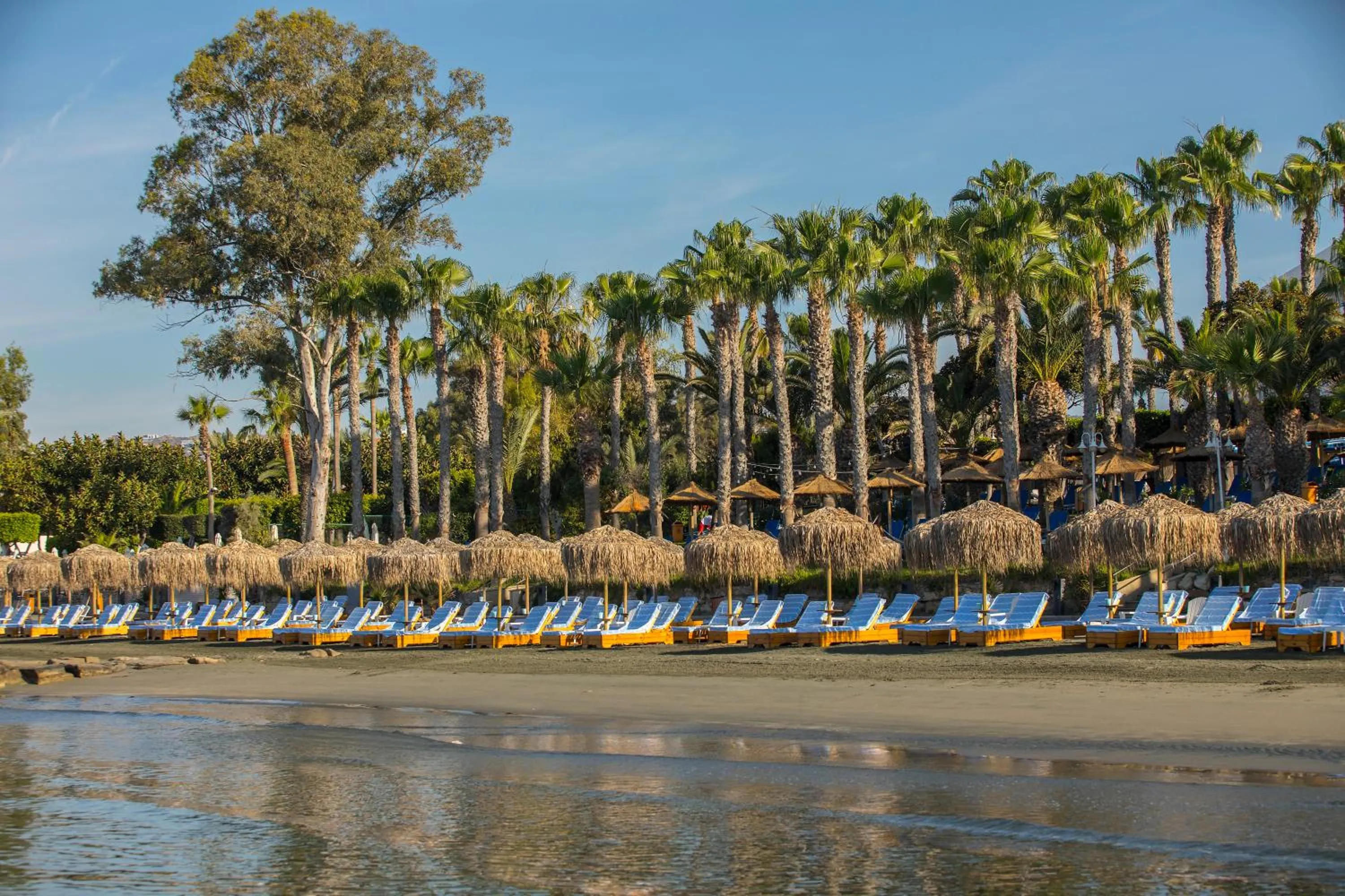 Natural landscape in The GrandResort - Limited Edition by Leonardo Hotels