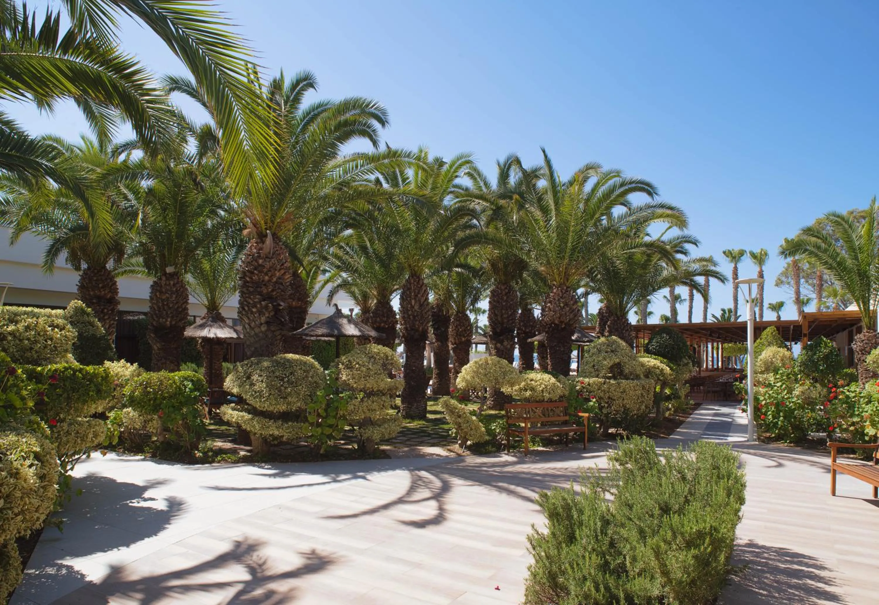 Garden in The GrandResort - Limited Edition by Leonardo Hotels