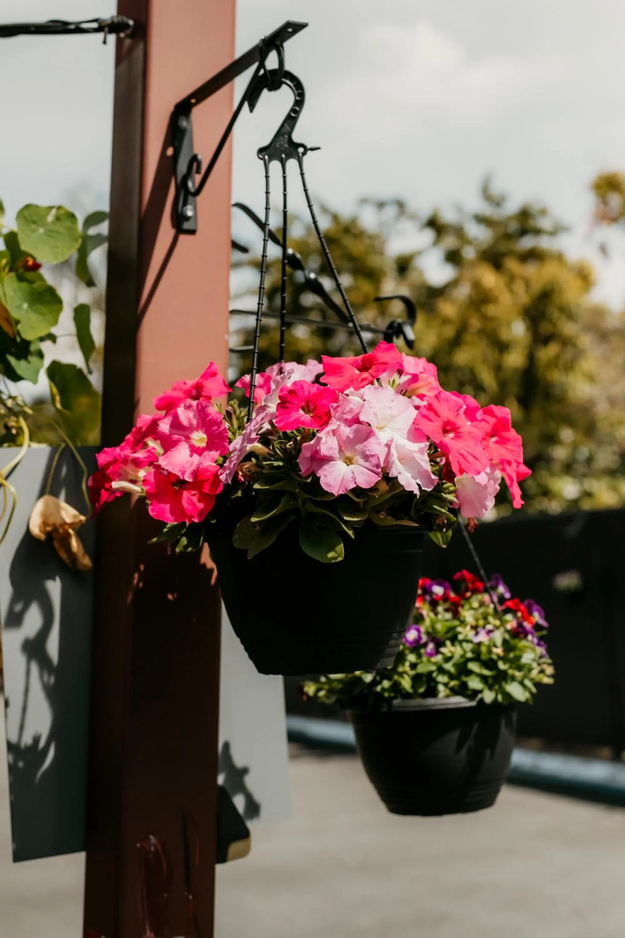 Kennedy Drive Boutique Motel - Close To City Centre & Airport