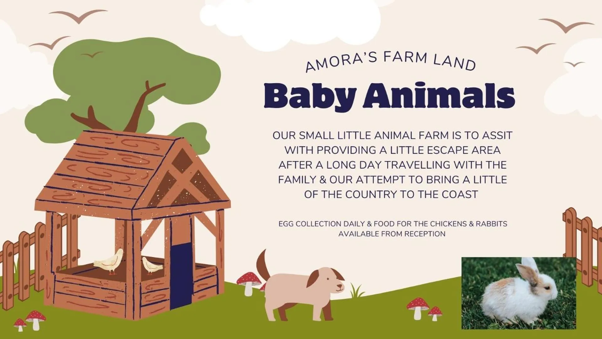 Kennedy Drive Boutique Motel - Close To City Centre & Airport