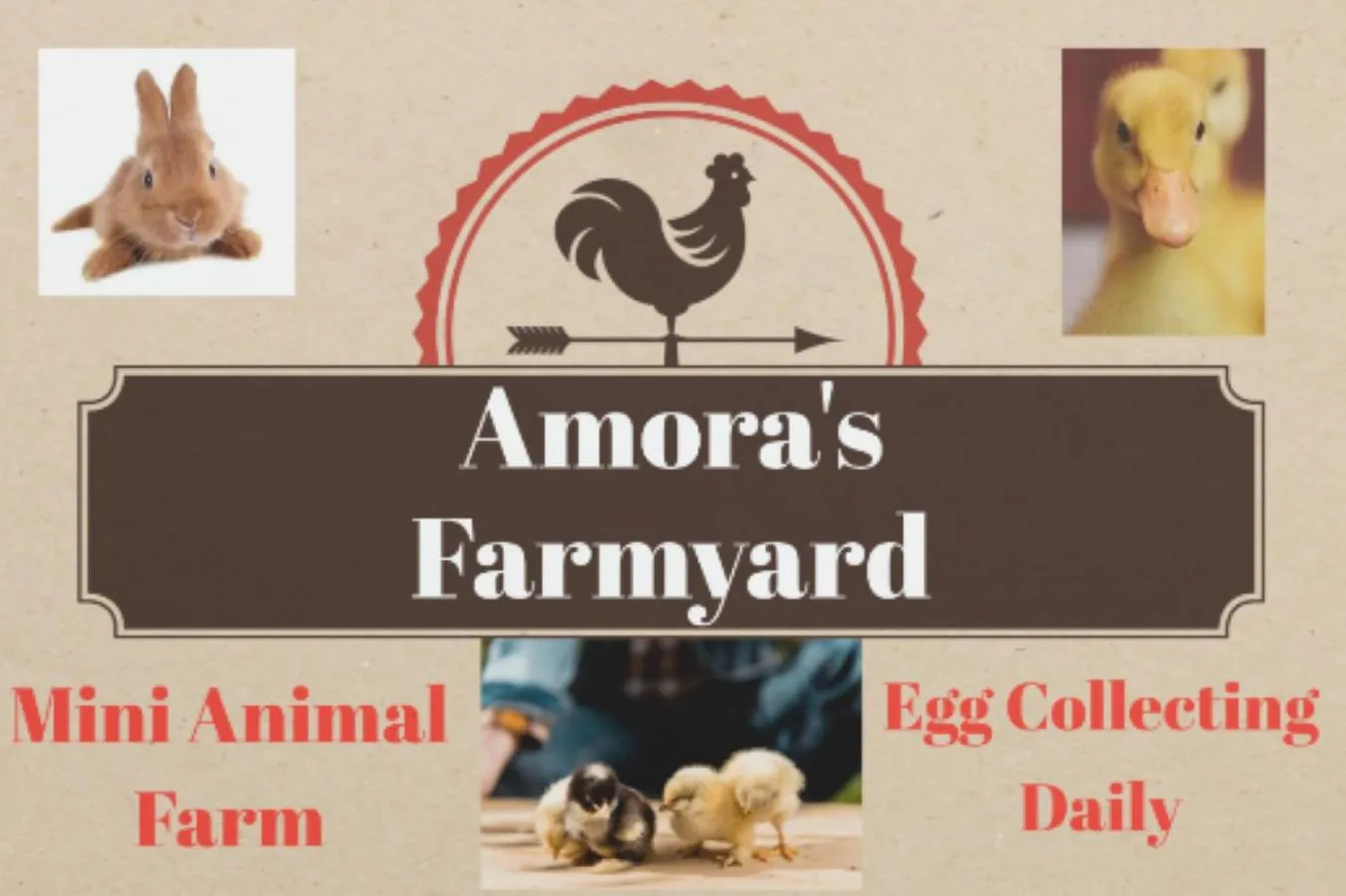 Kennedy Drive Boutique Motel - Close To City Centre & Airport