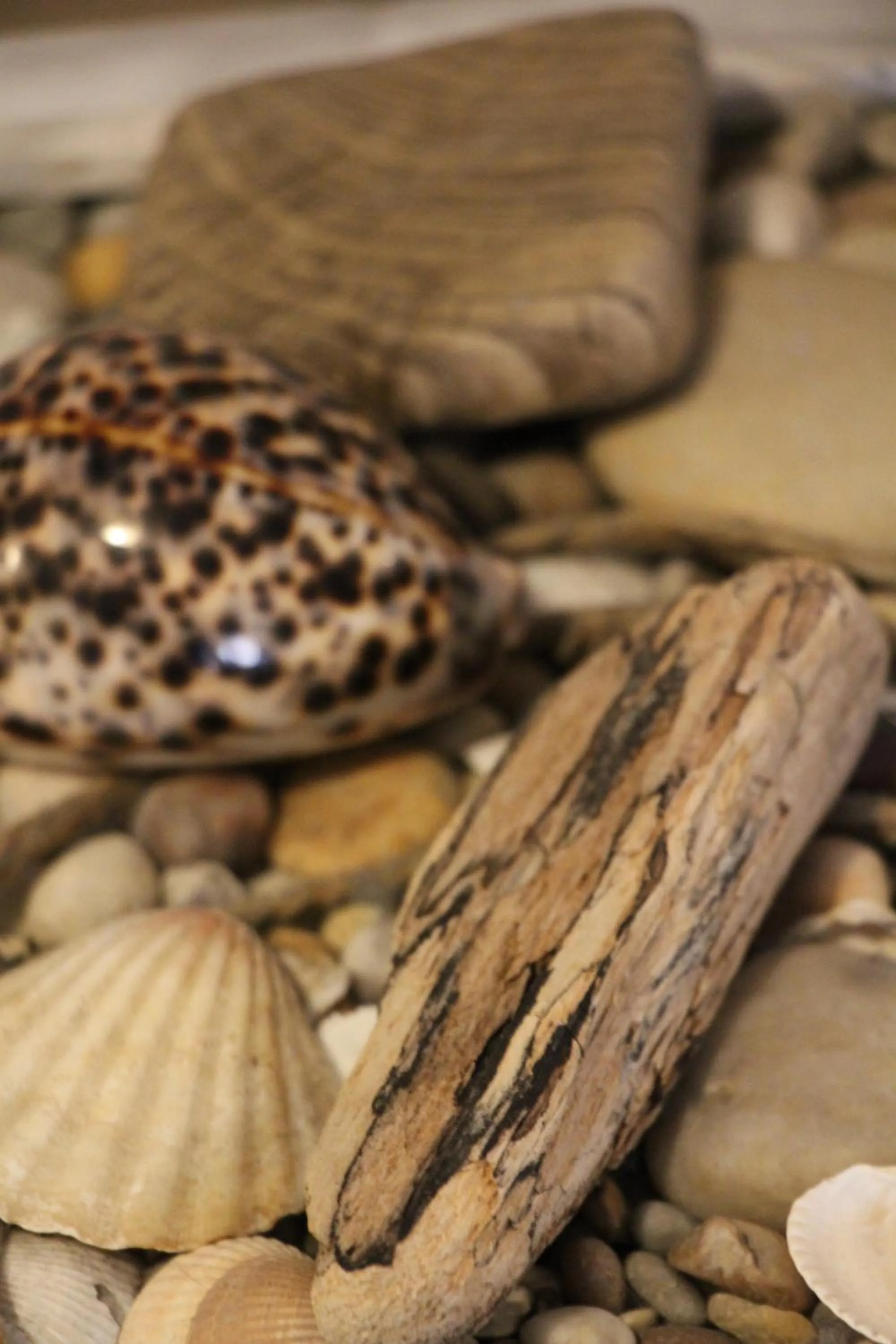 Facade/entrance in Port Hotel