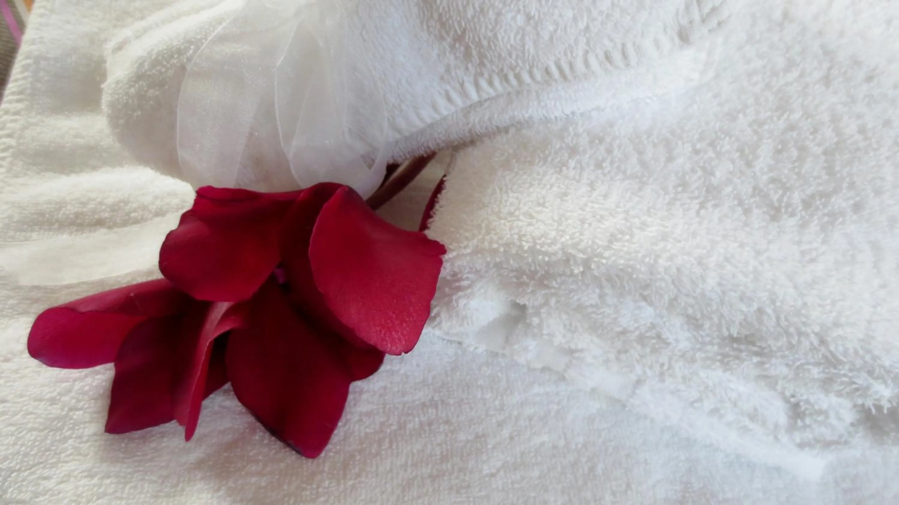 Decorative detail, Bed in Domus Antiqua Residence