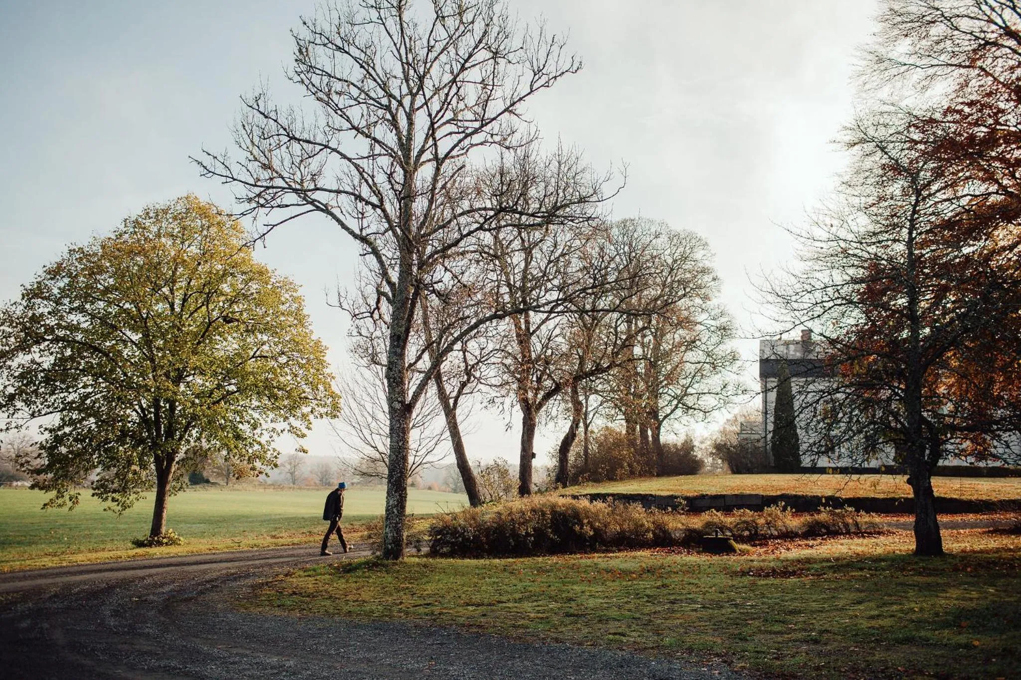 Natural landscape in Wallby Säteri