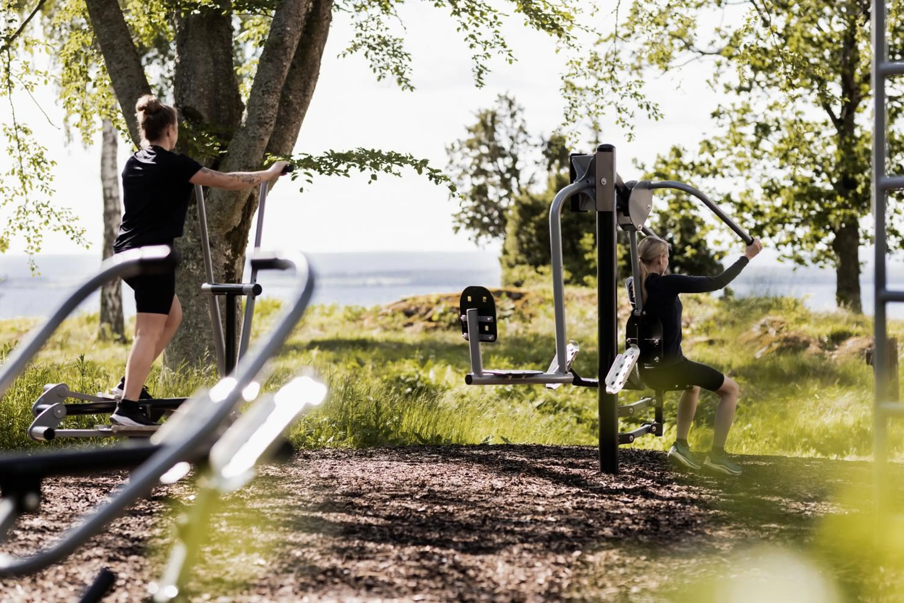 Natural landscape in Hotel Gyllene Uttern