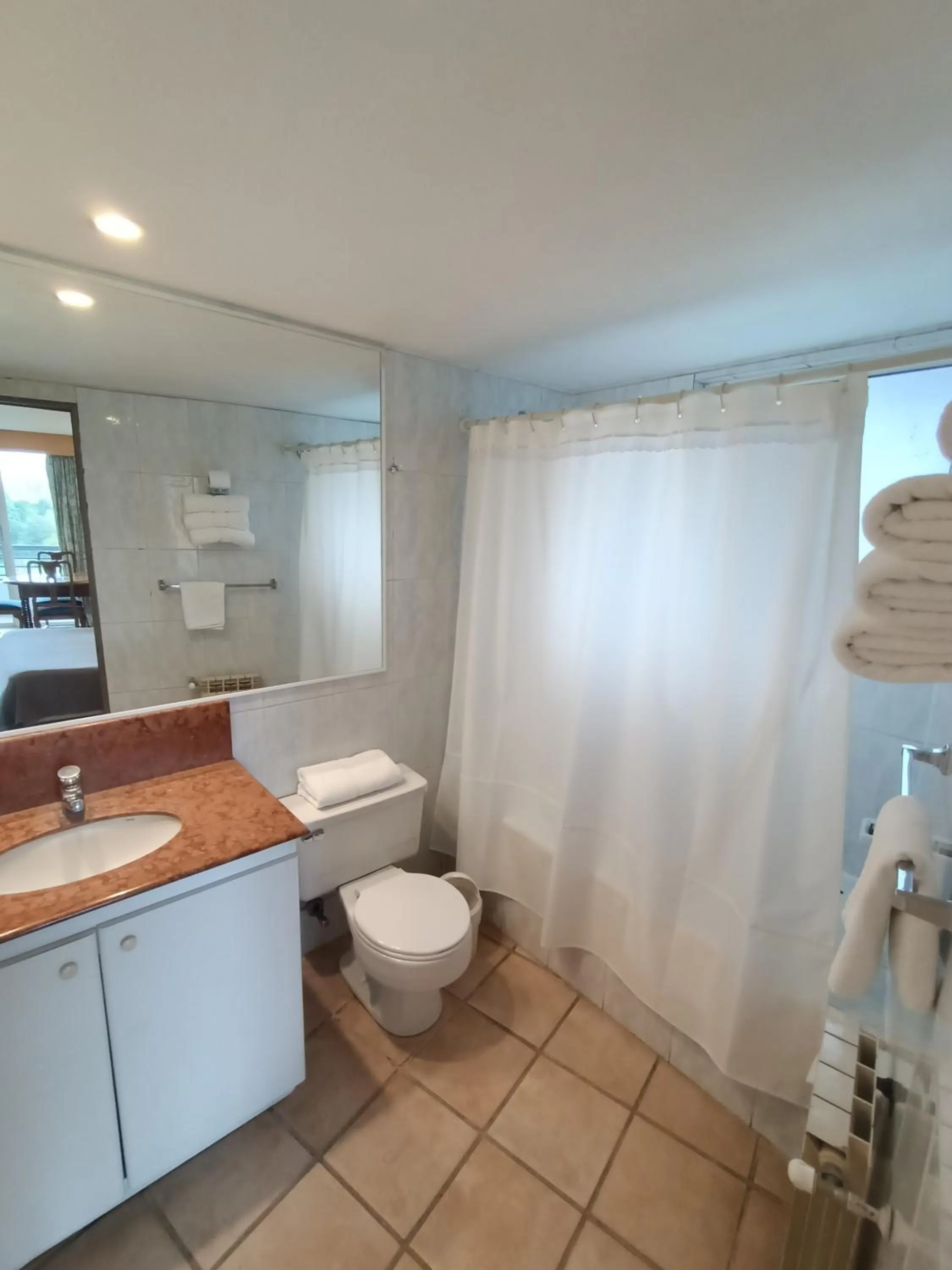 Bathroom in Apart Enjoy Pucón