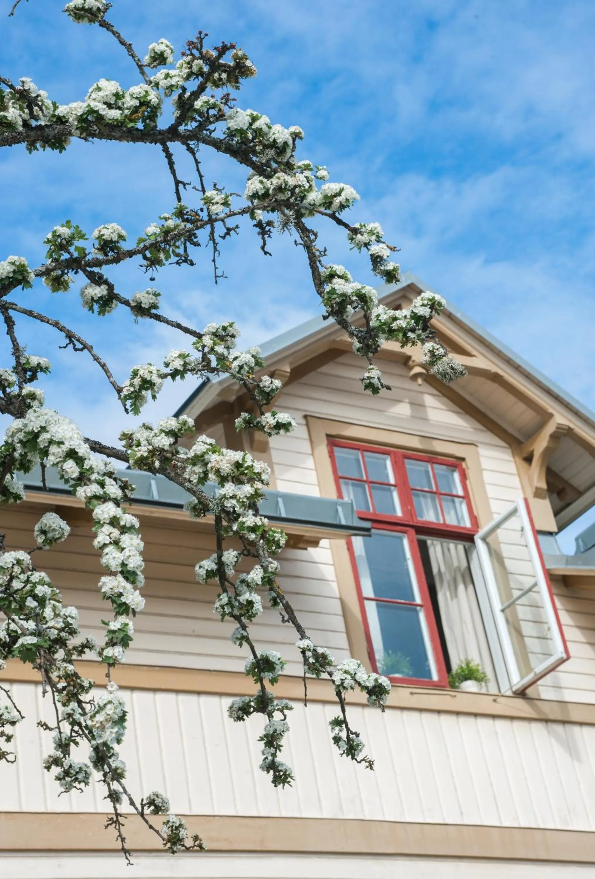 Ronneby Brunnspark Vandrarhem och B&B