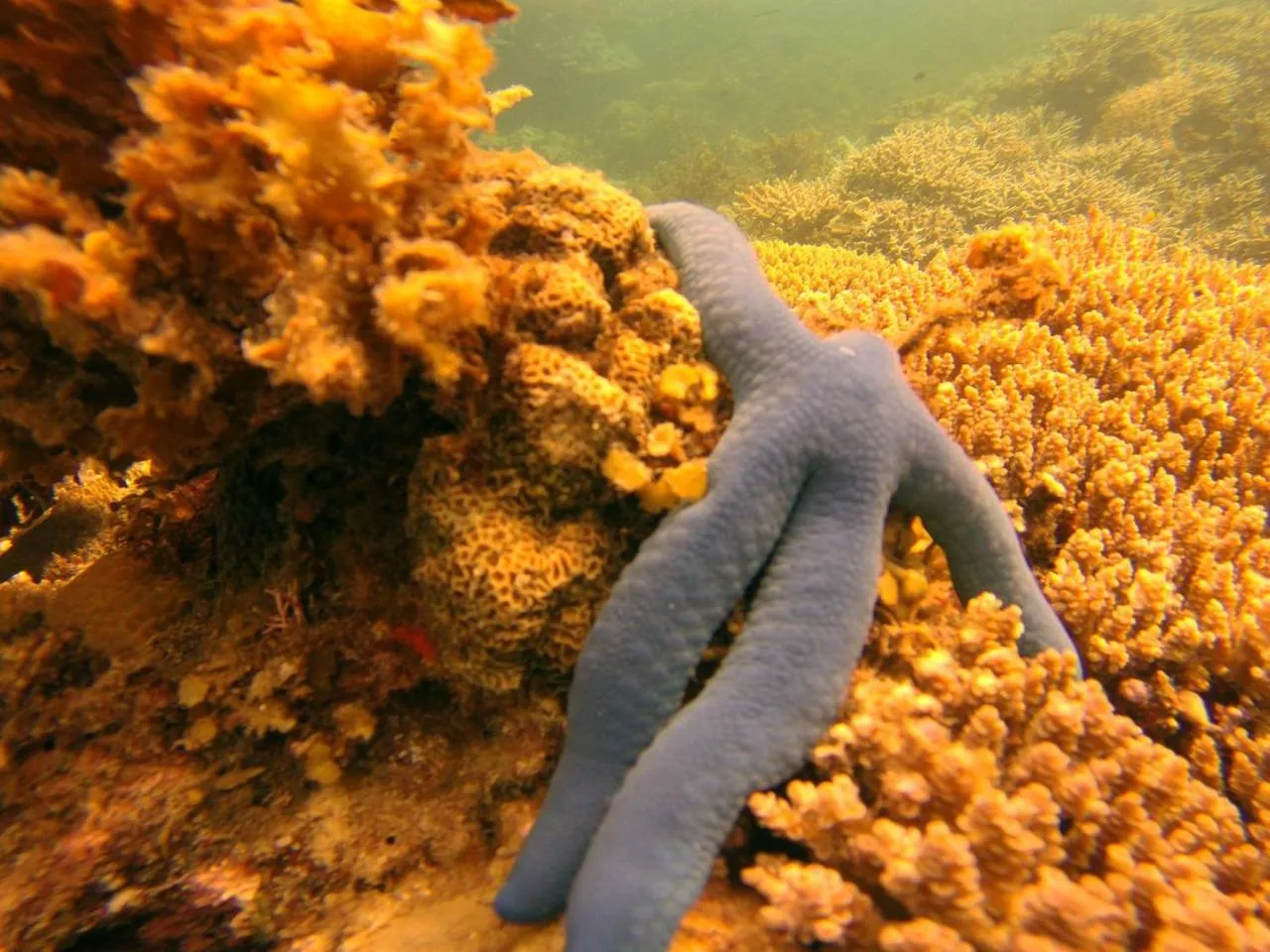 Playa Encantada Beach Resort