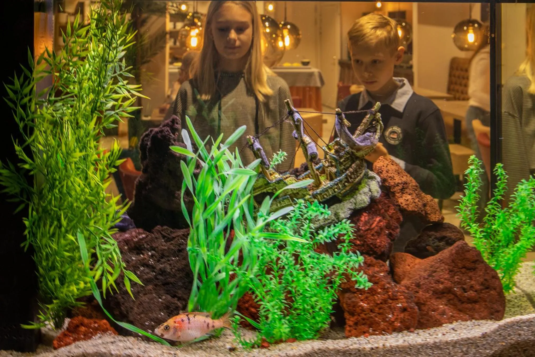 People in Dream - Luxury Hostel