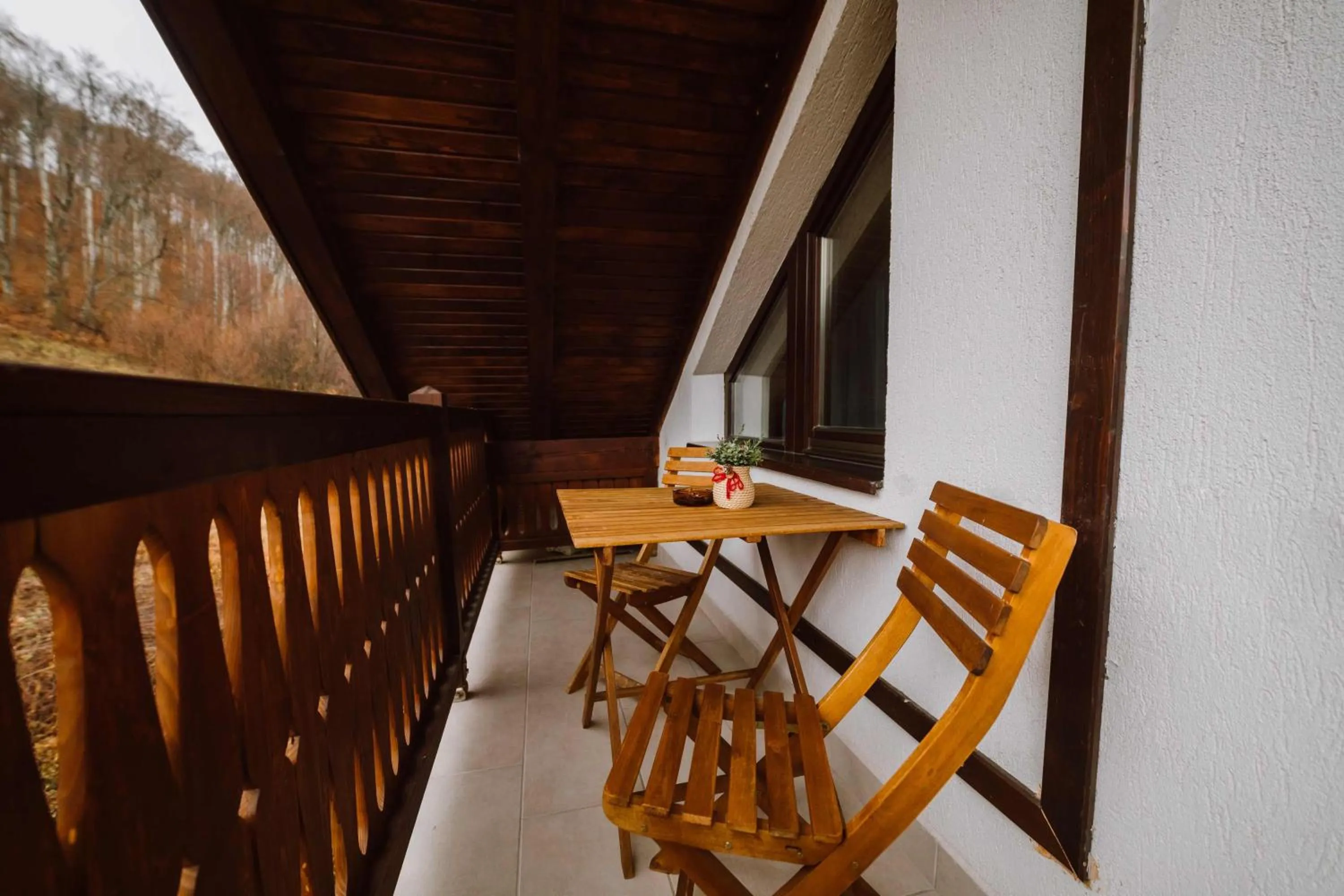 Balcony/Terrace in Hotel Relax Sovata