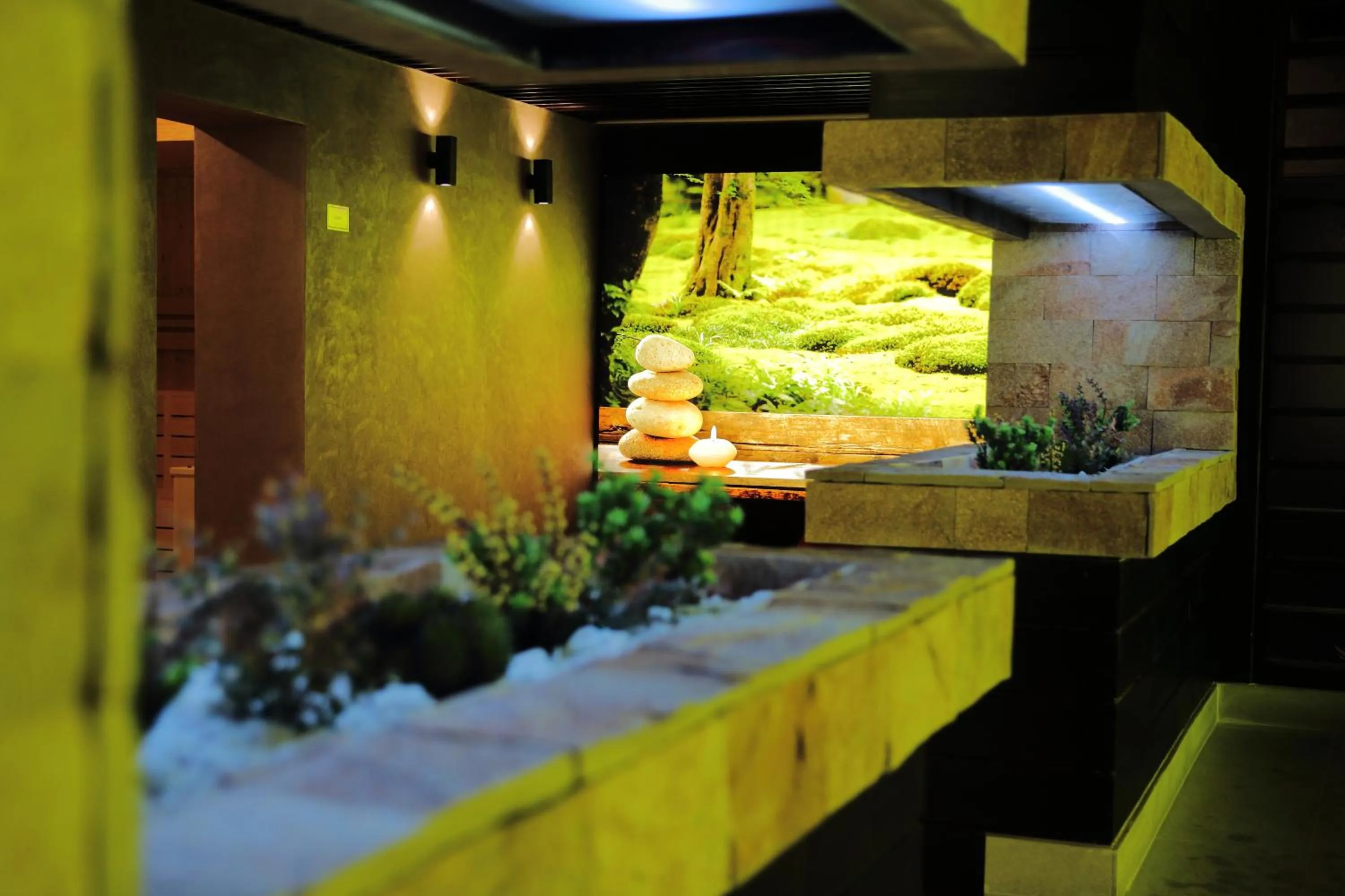 Spa and wellness centre/facilities in Hotel Relax Sovata