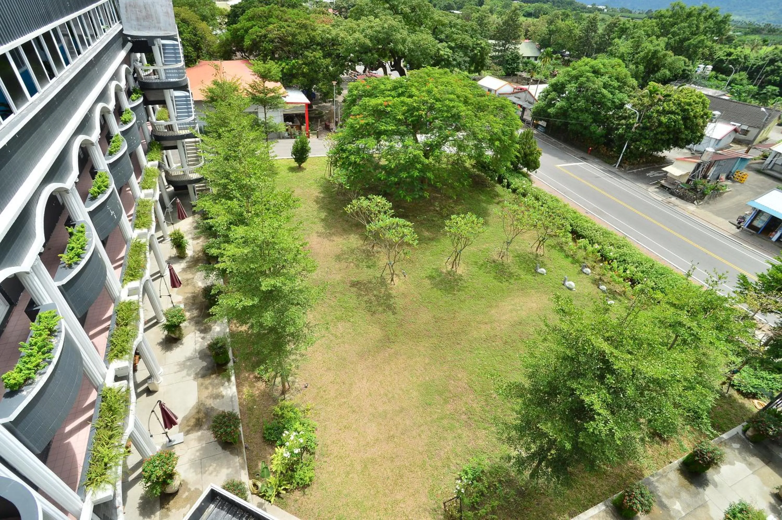 Garden view in Jinhue Hotel