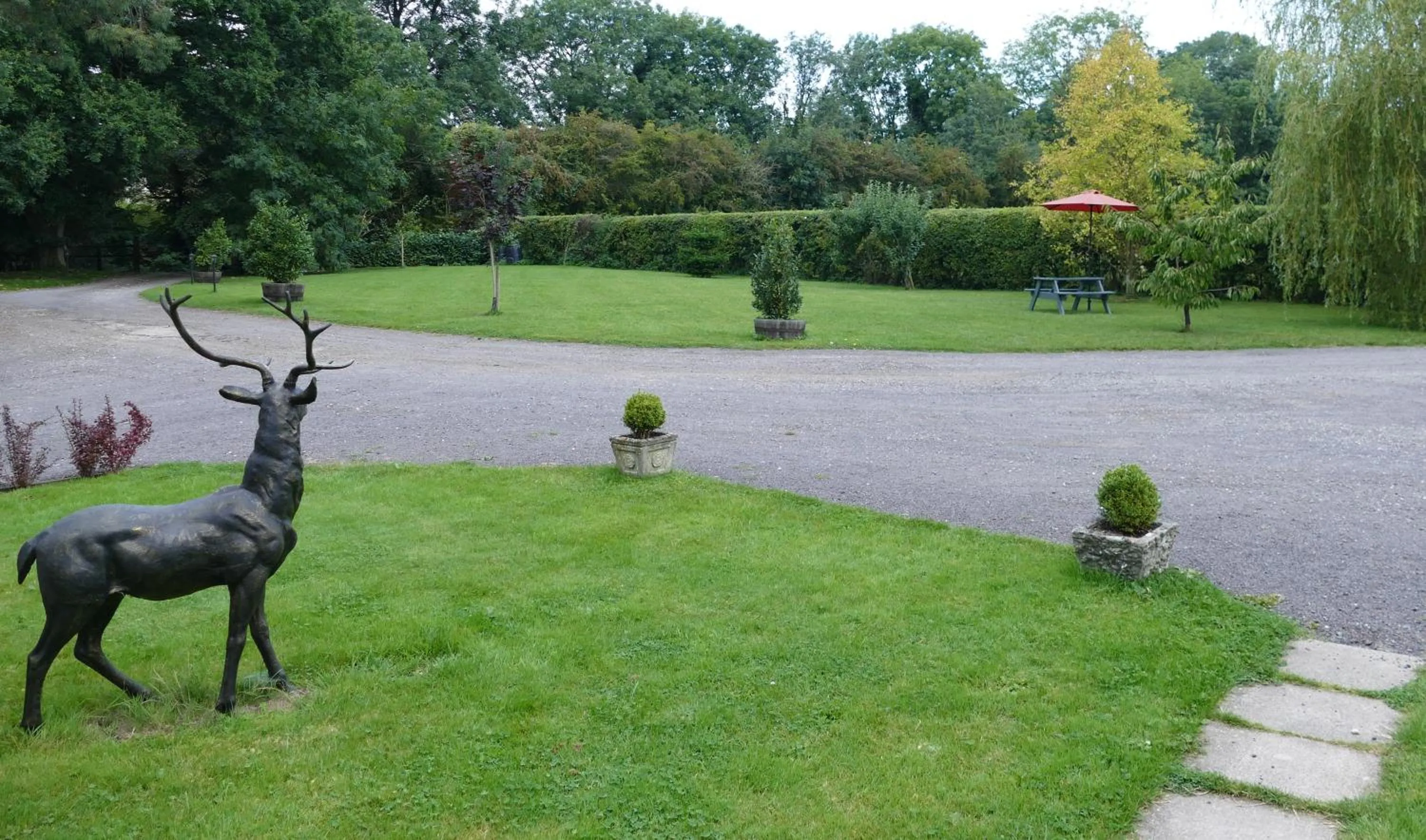 Garden in The Willows