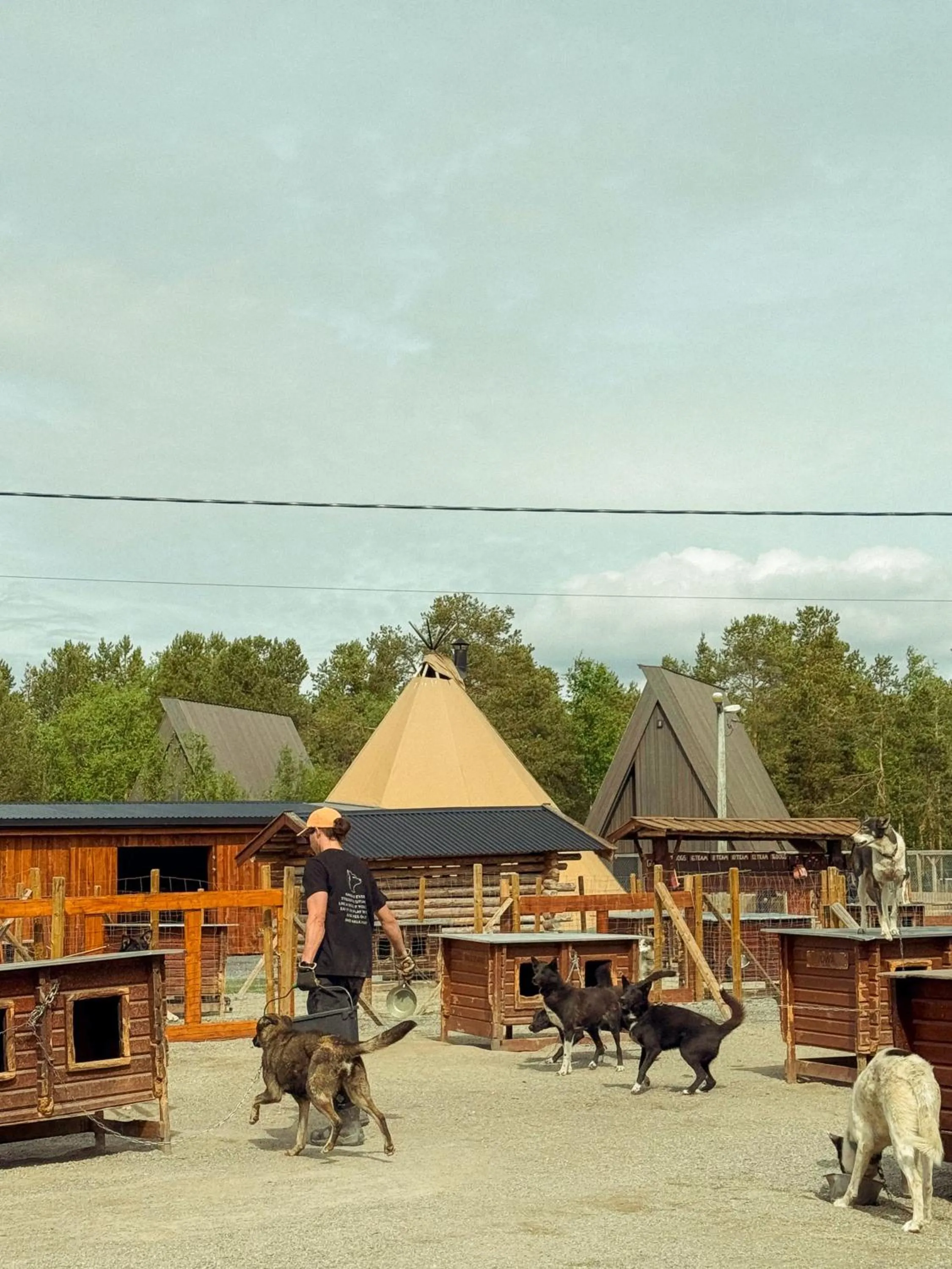 Other in Holmen Husky Lodge