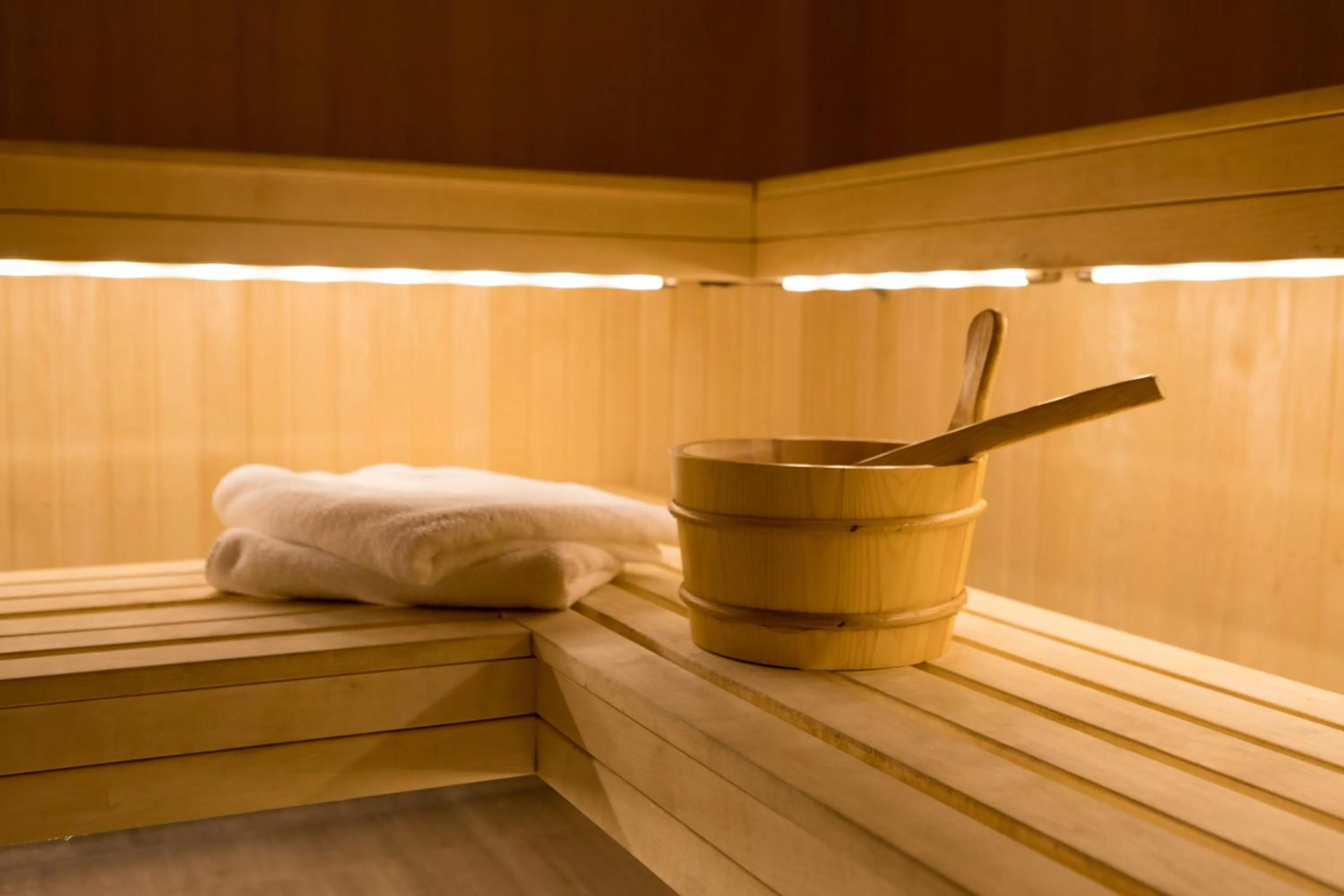 Sauna in Hotel Terraza