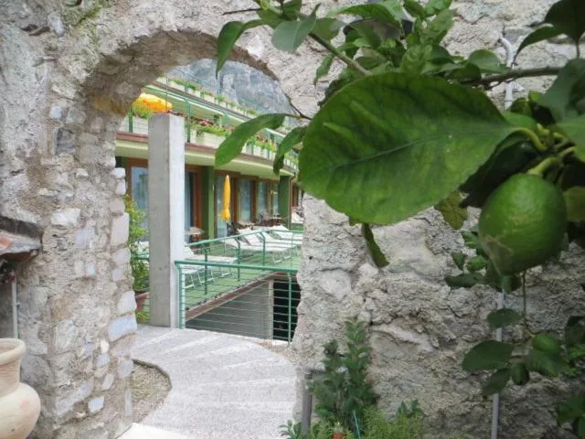 Garden in Hotel Alexander