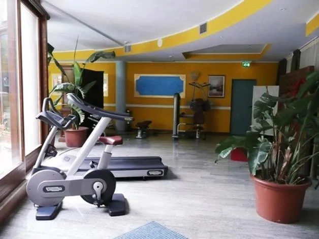 Fitness centre/facilities in Hotel Alexander