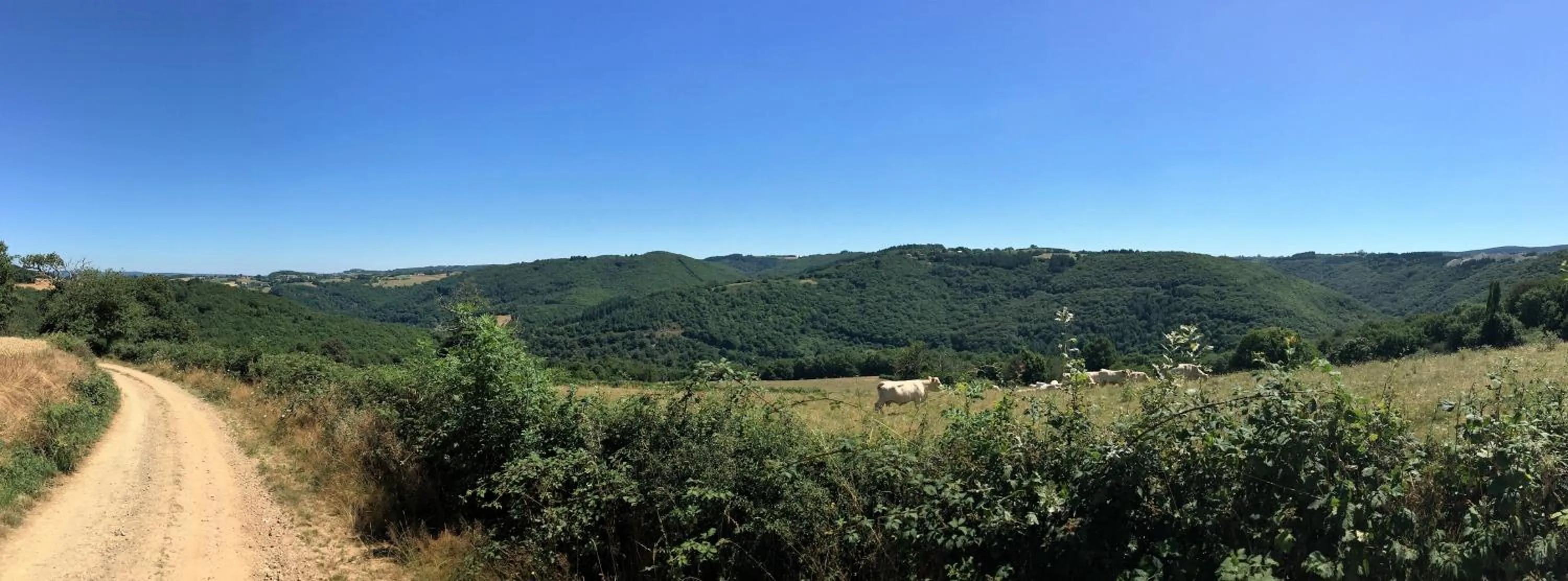 Natural landscape in Moulin de la Fayolle
