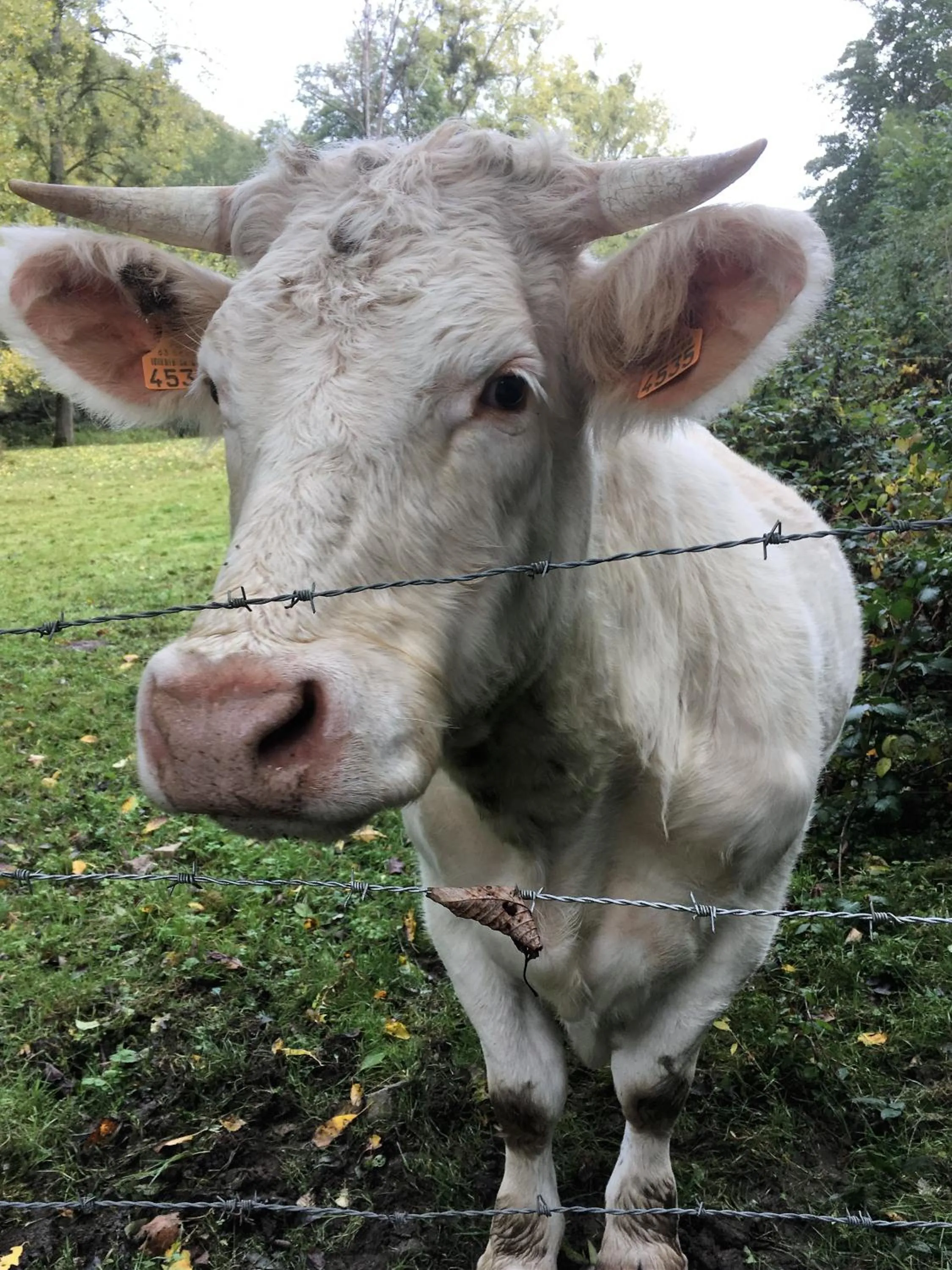 Nearby landmark in Moulin de la Fayolle