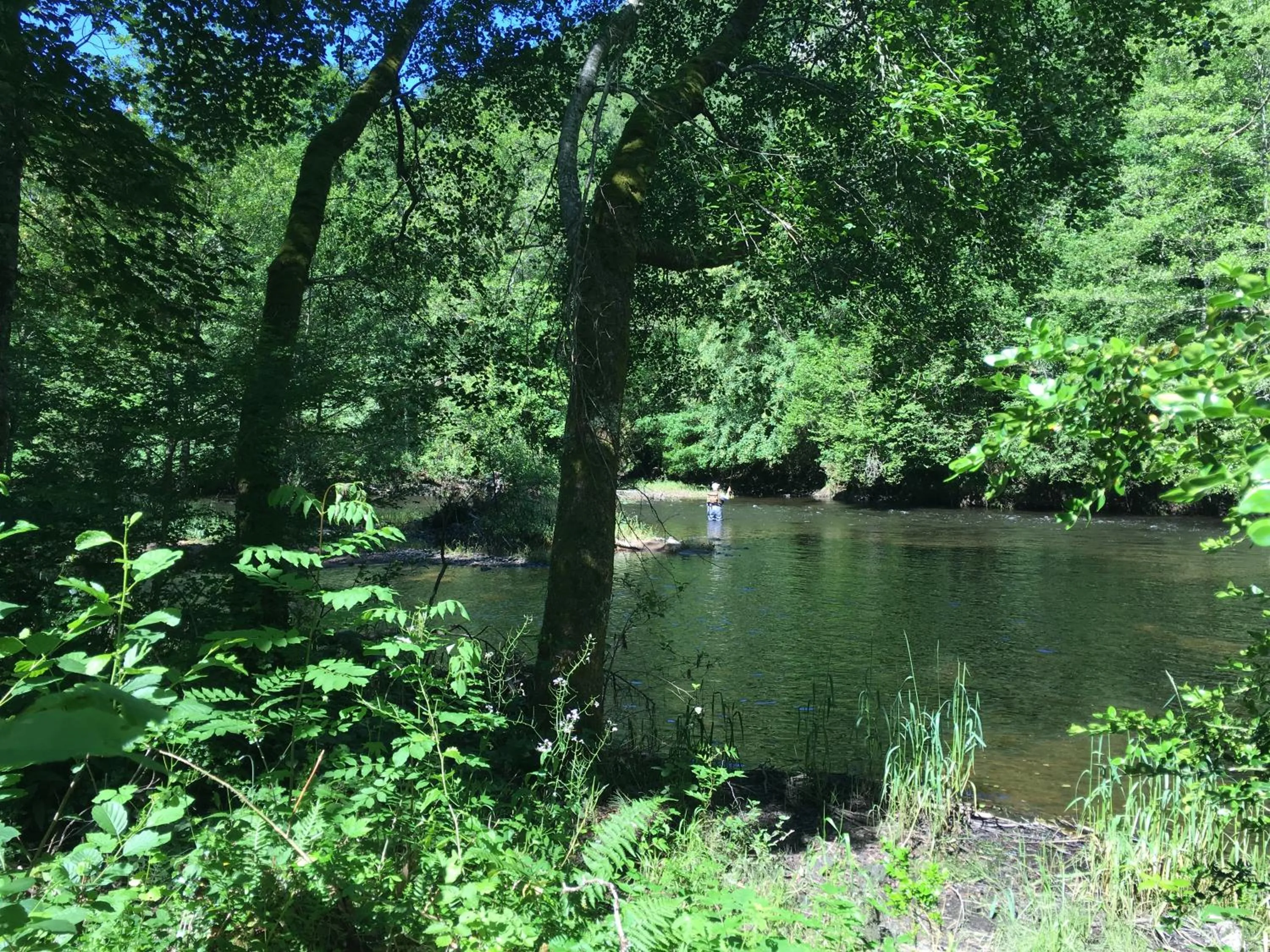Spring in Moulin de la Fayolle