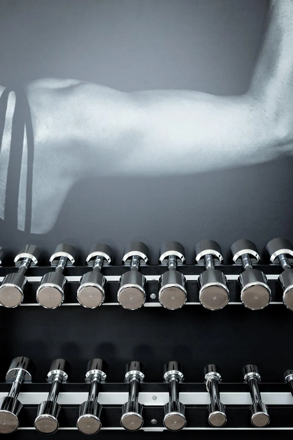 Activities in Garda Hotel