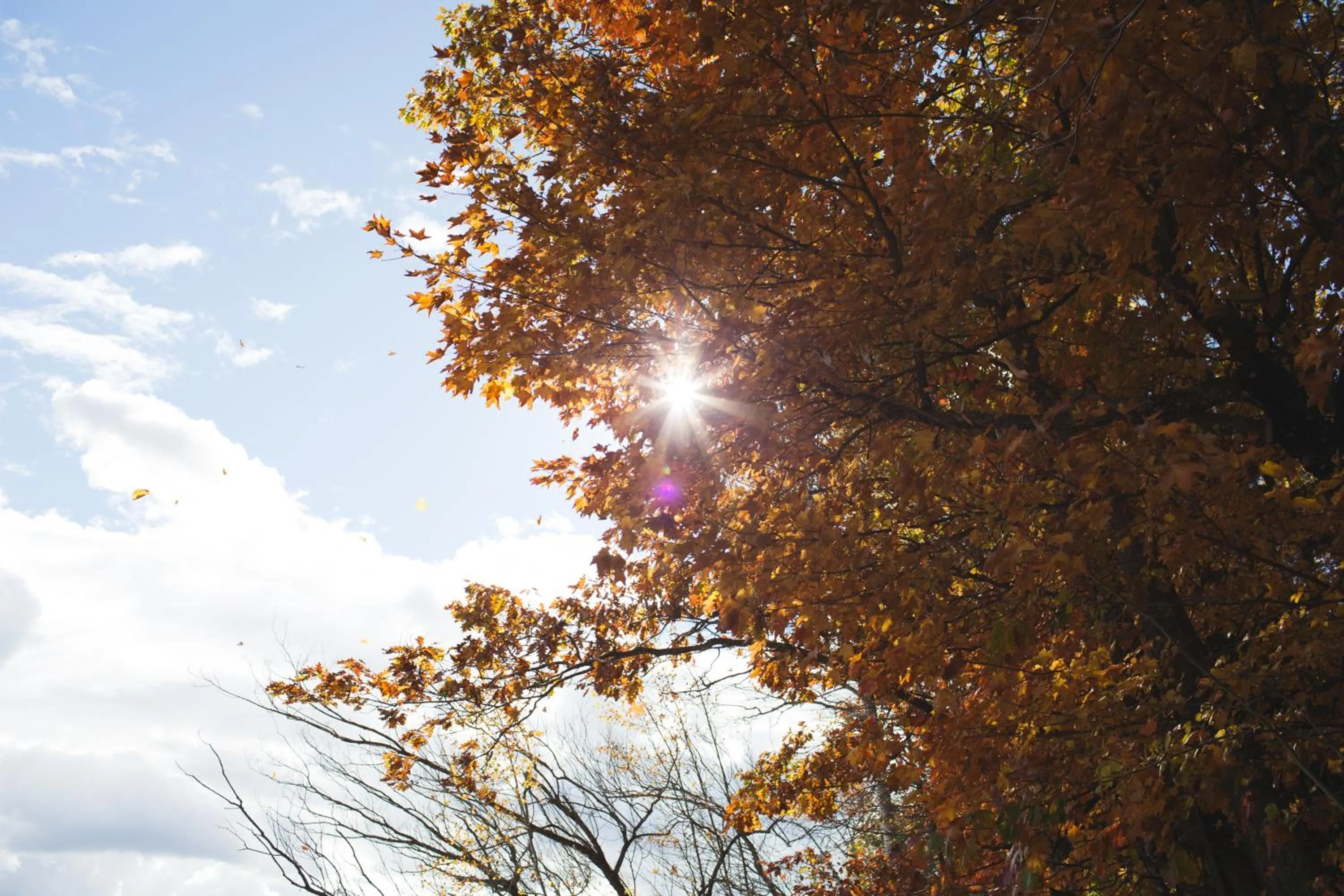 Autumn in Mission Springs Resort