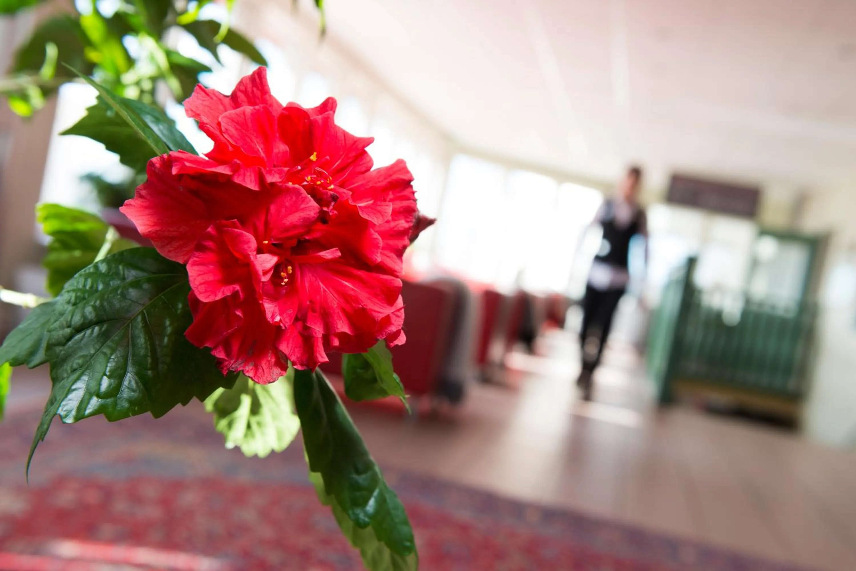 Lobby or reception in Best Western Hotell Lerdalshoejden