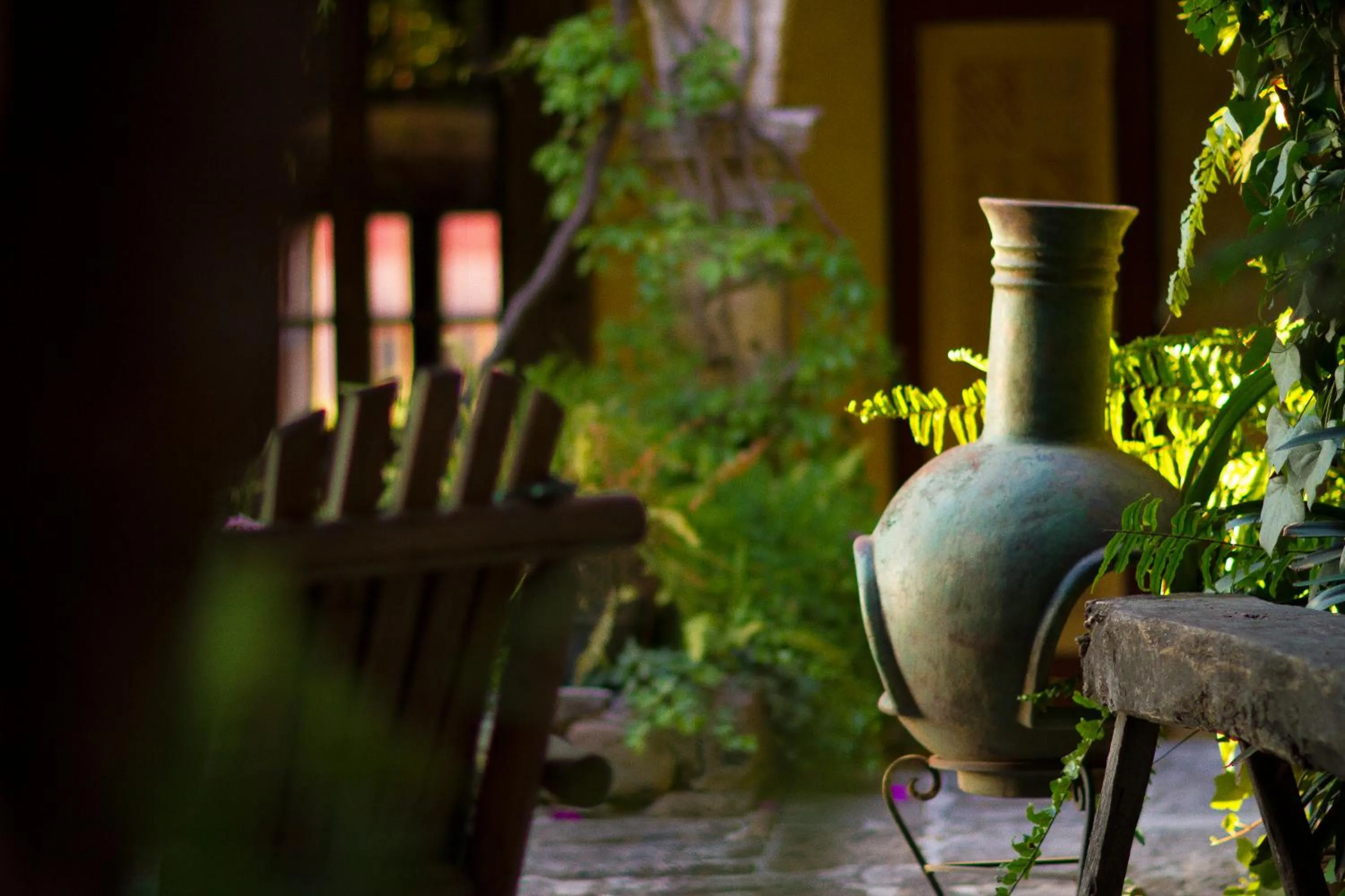 Garden in Hacienda Las Amantes
