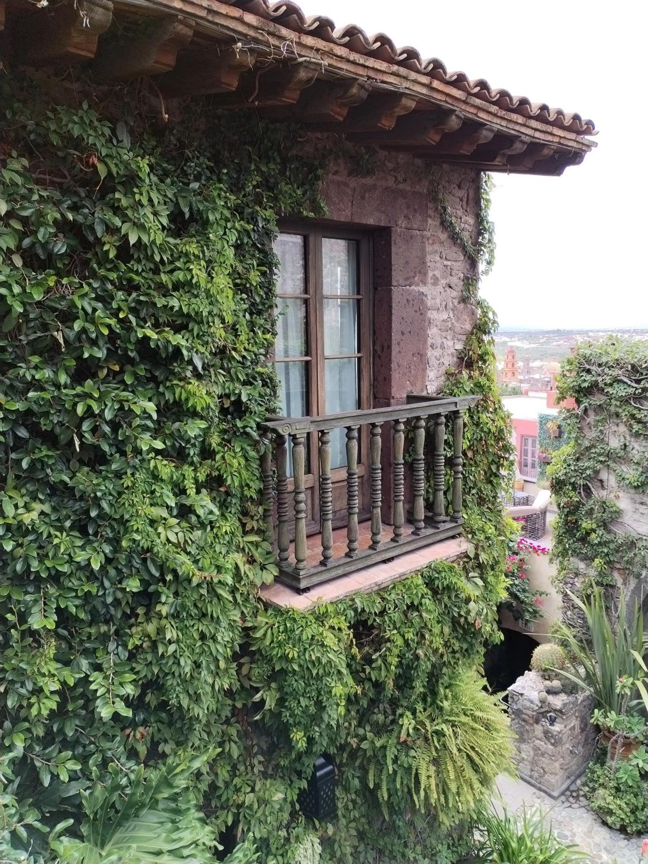 Garden view in Hacienda Las Amantes