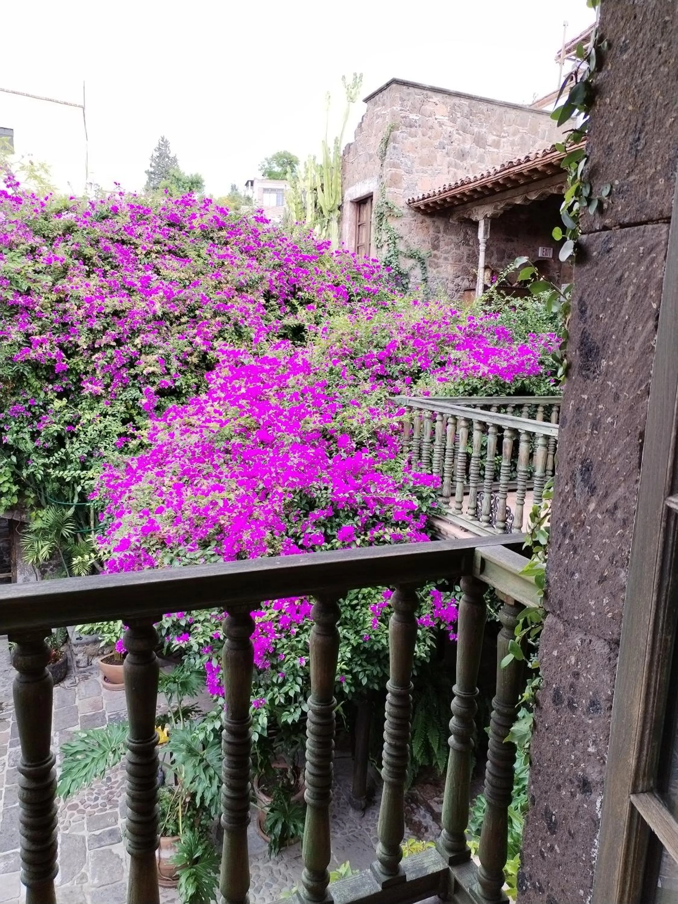 Garden view in Hacienda Las Amantes
