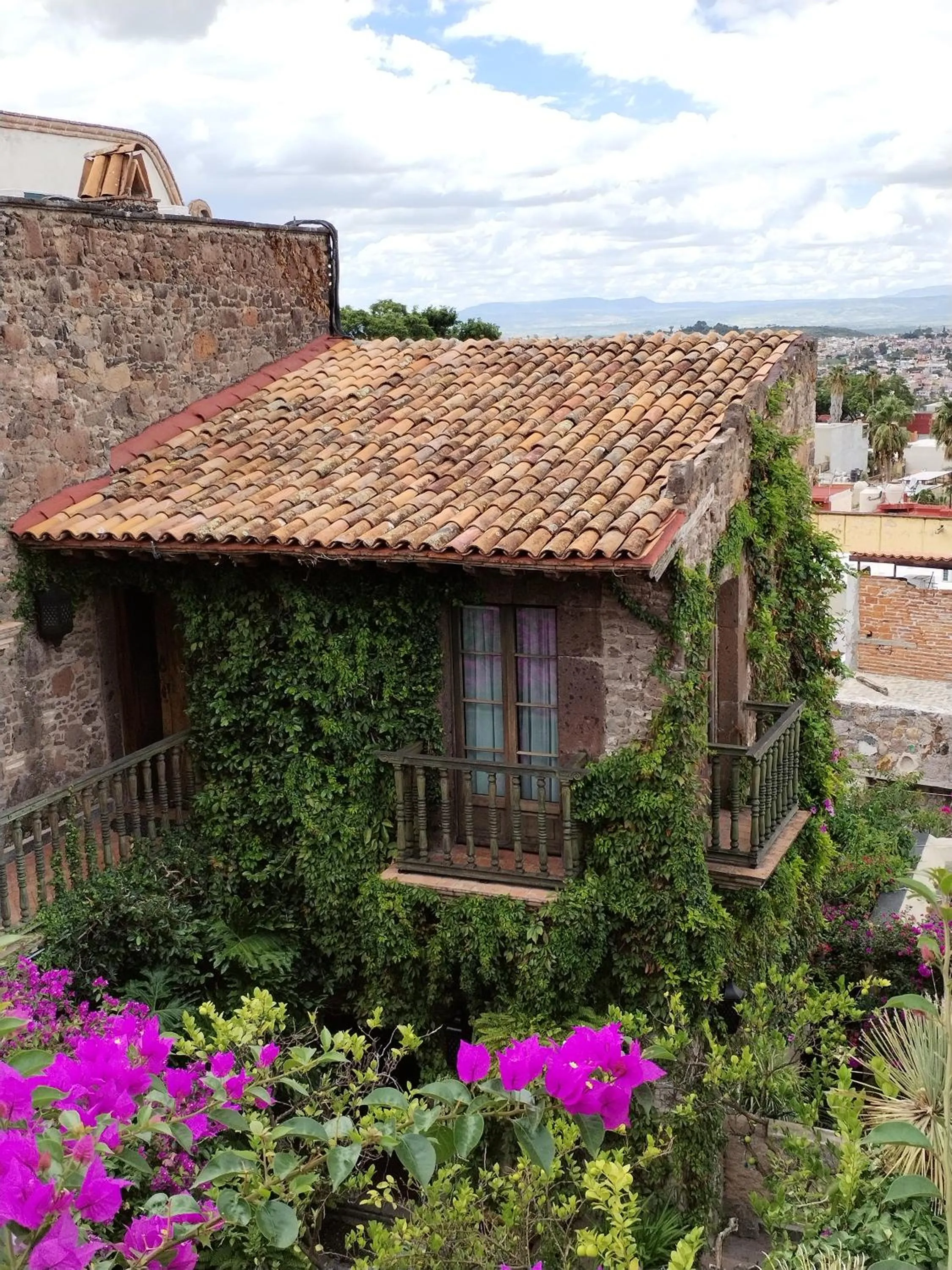 Garden view in Hacienda Las Amantes