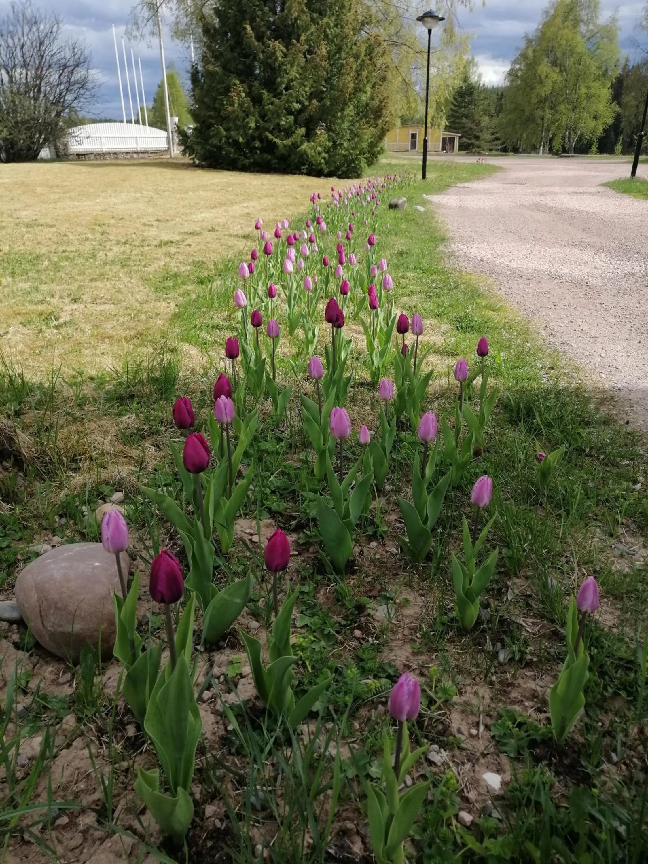Lugnet Malung Hotell