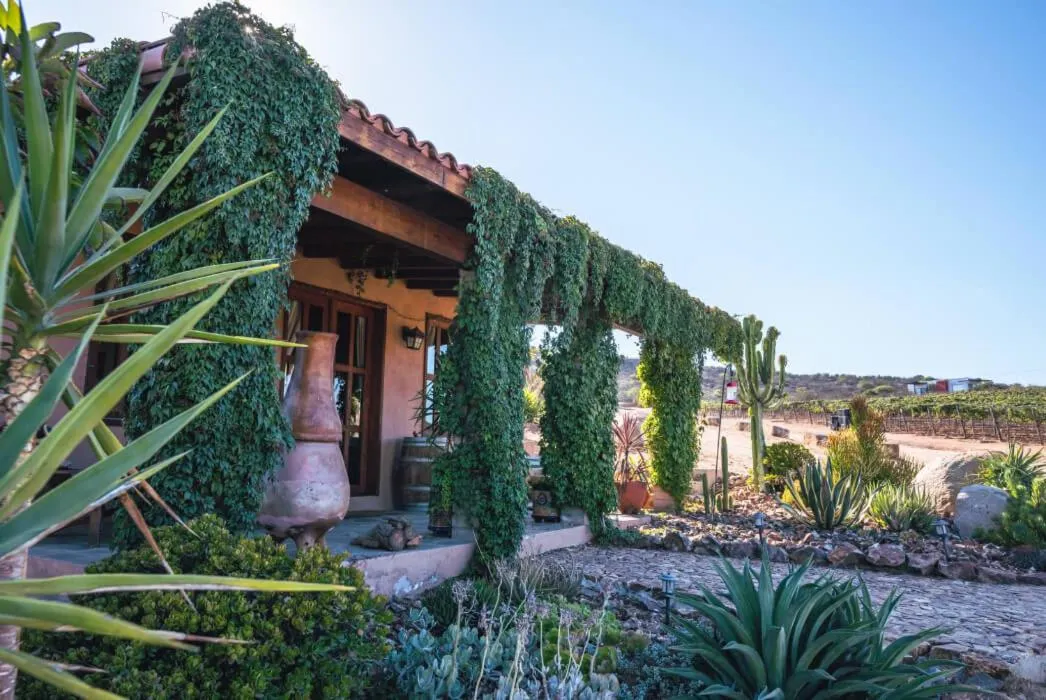 Day in En'kanto Valle de Guadalupe