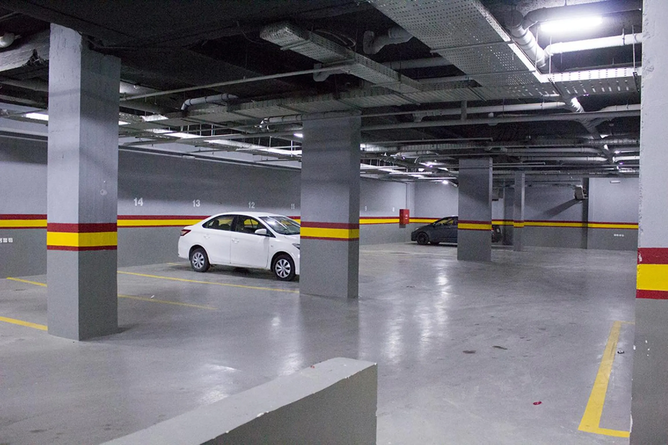 Other in Merfal Royal new