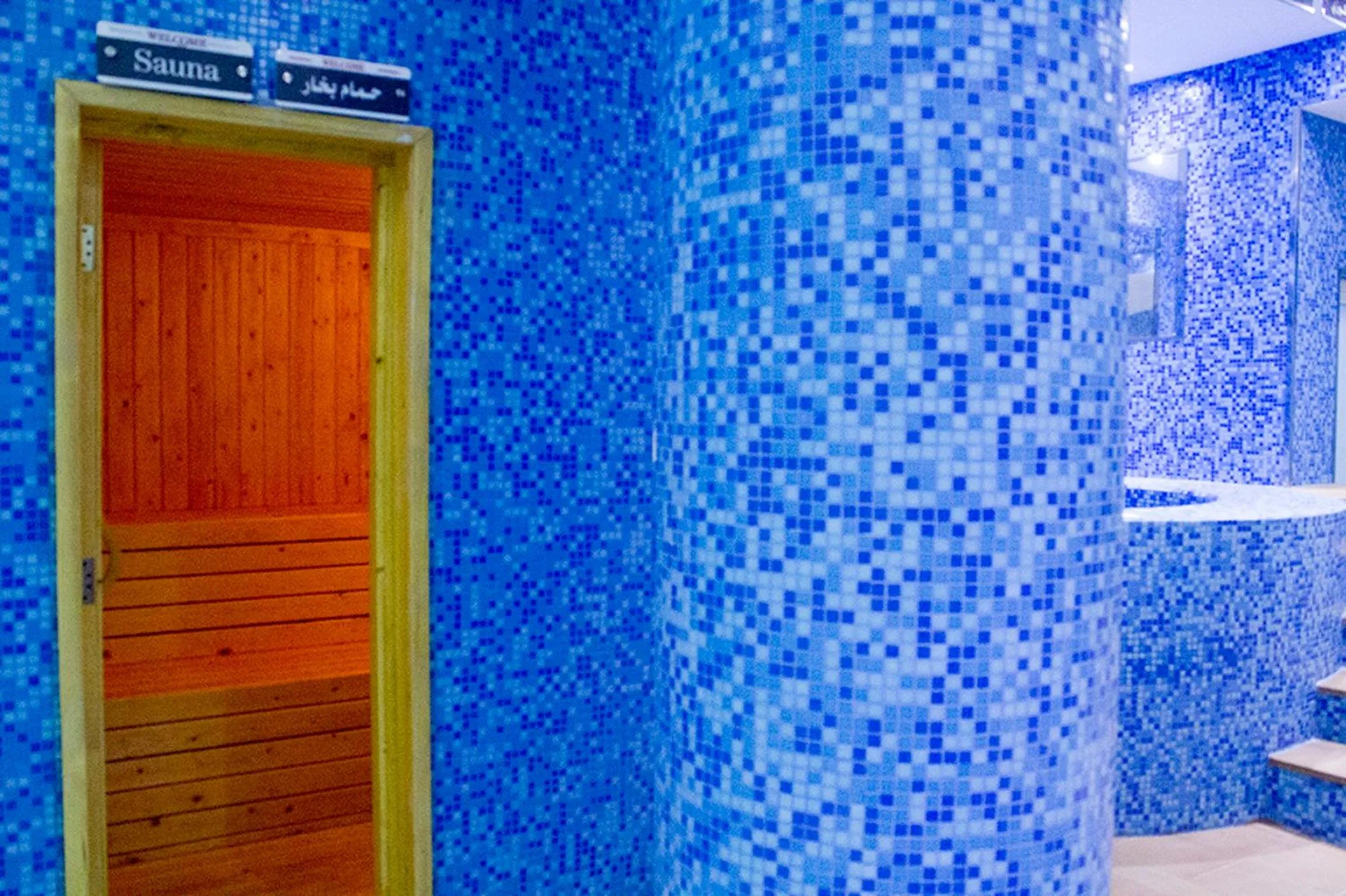 Swimming pool in Merfal Royal new