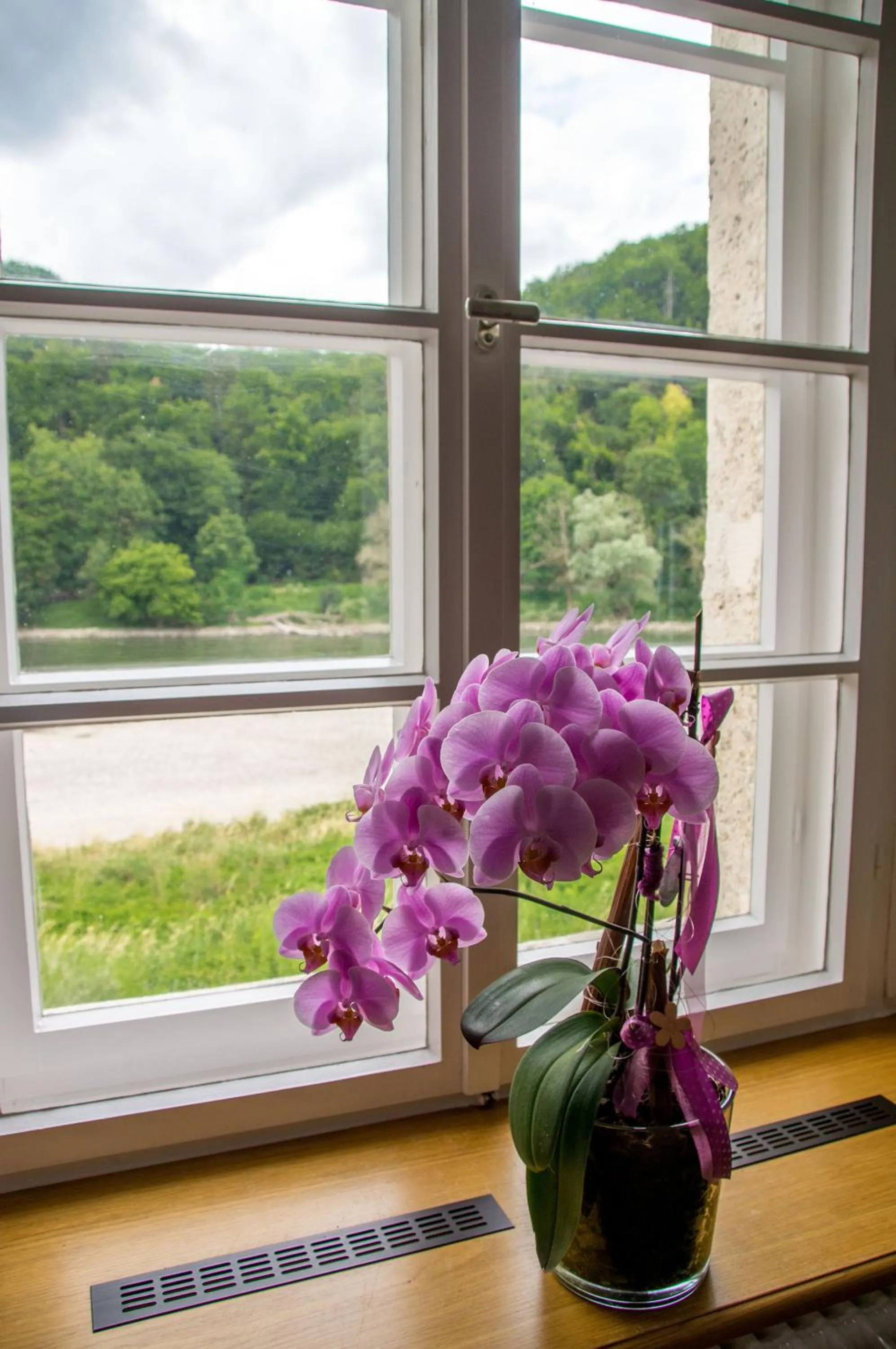 View (from property/room) in Gästehaus St. Georg - Weltenburger Klosterbetriebe GmbH