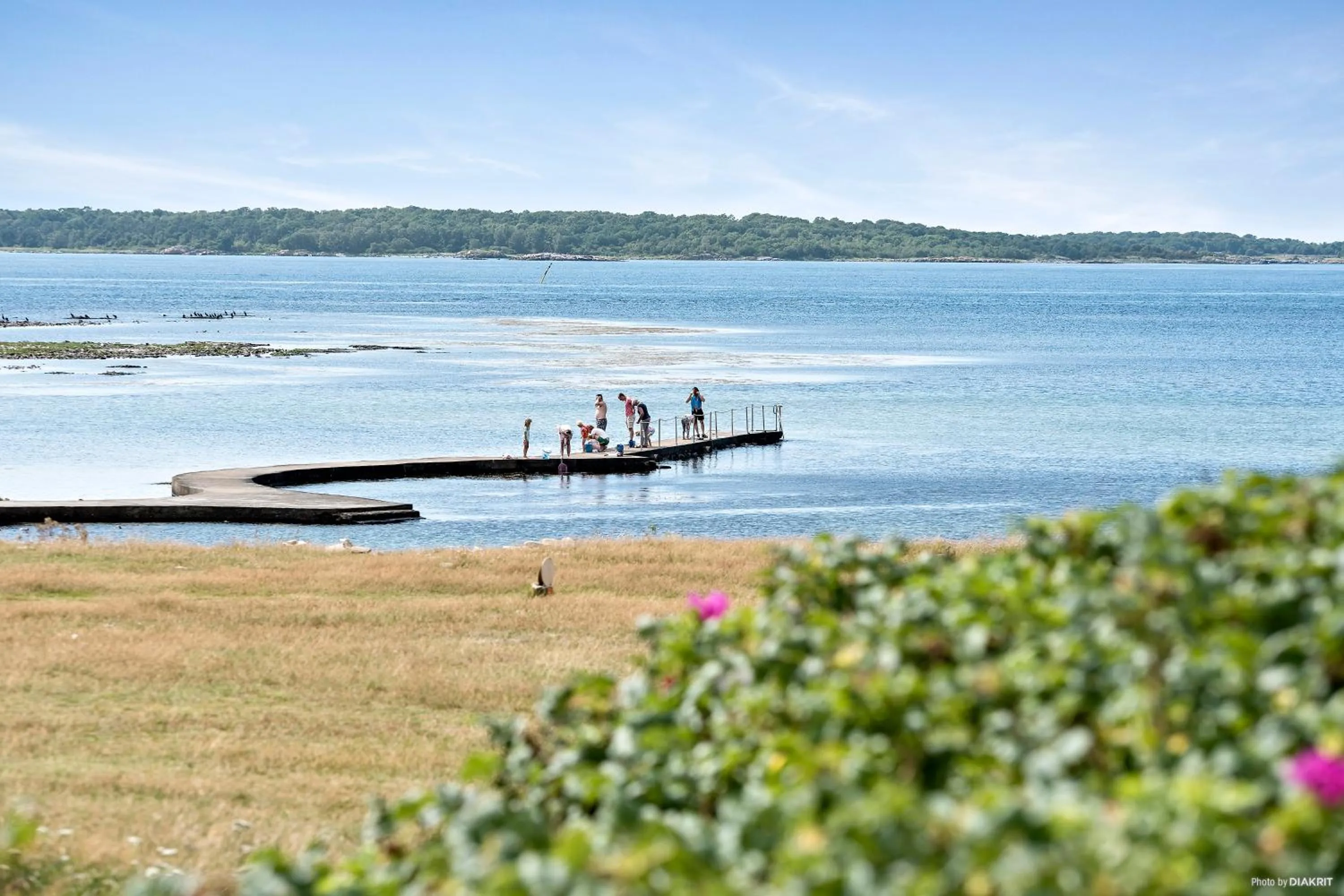 Beach in First Camp Torekov-Båstad