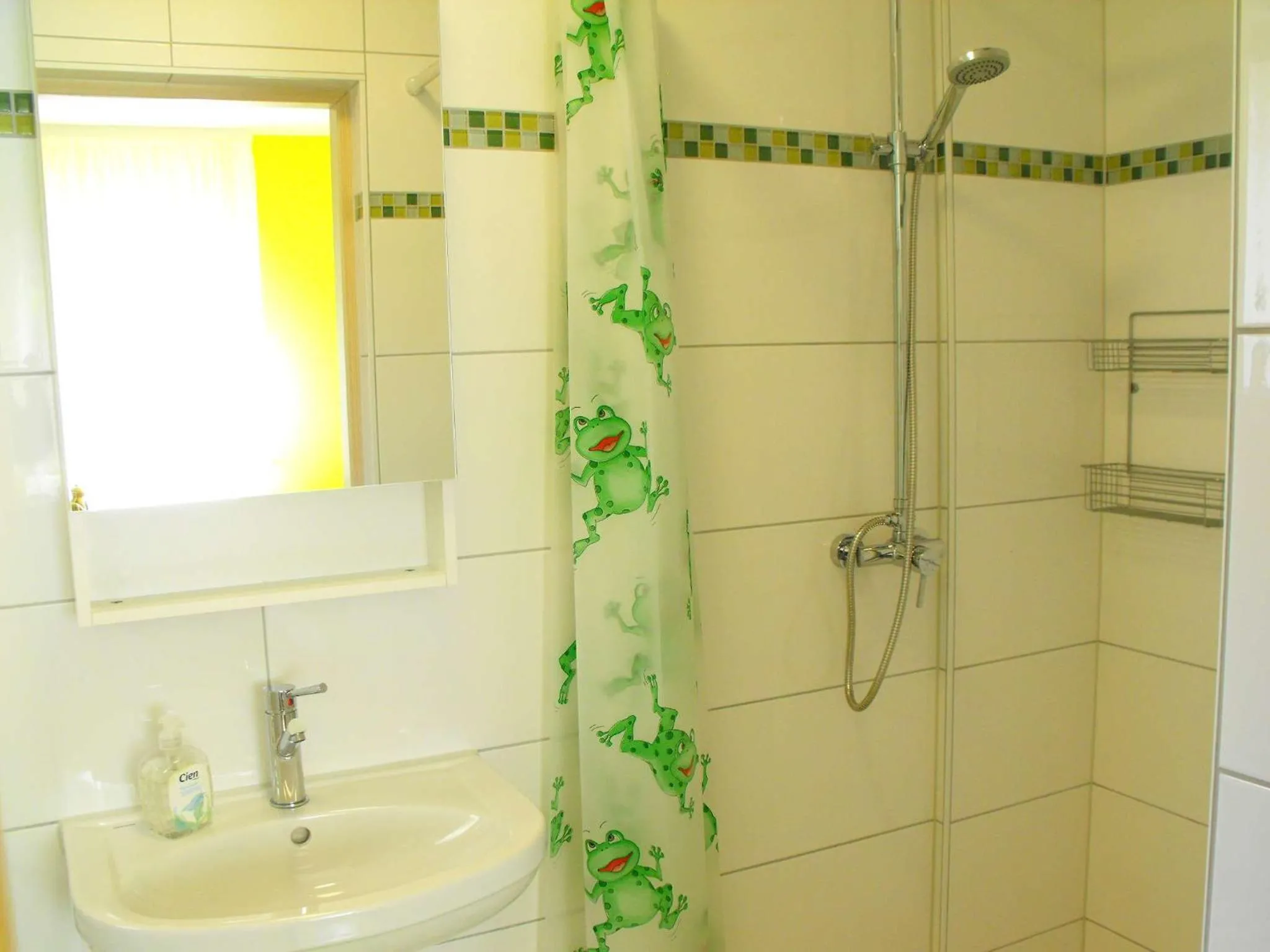 Double or Twin Room with Bathroom - single occupancy in Pension Froschprinz
