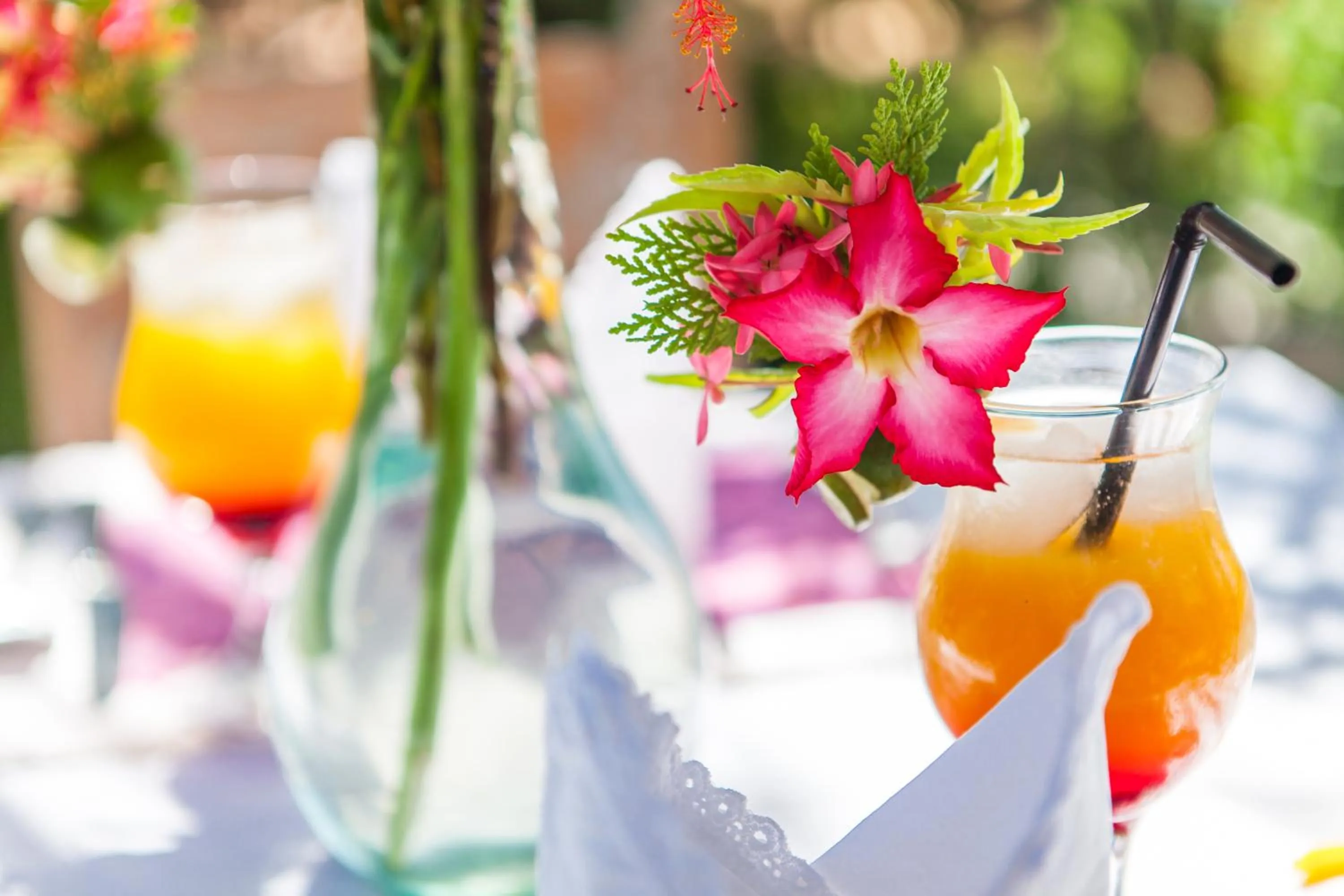 Day in Blue Moon Villas Resort