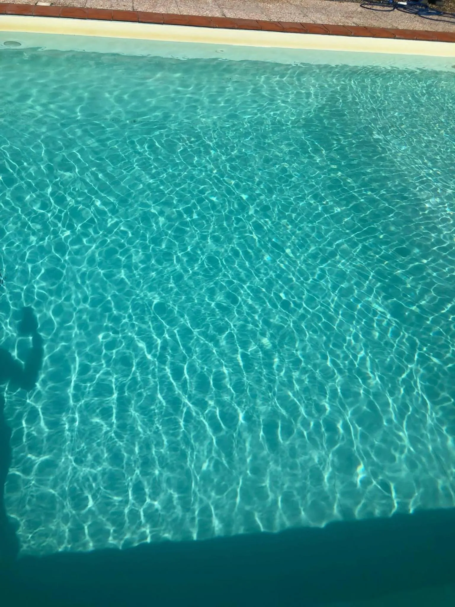 Swimming pool in B&B Alloro