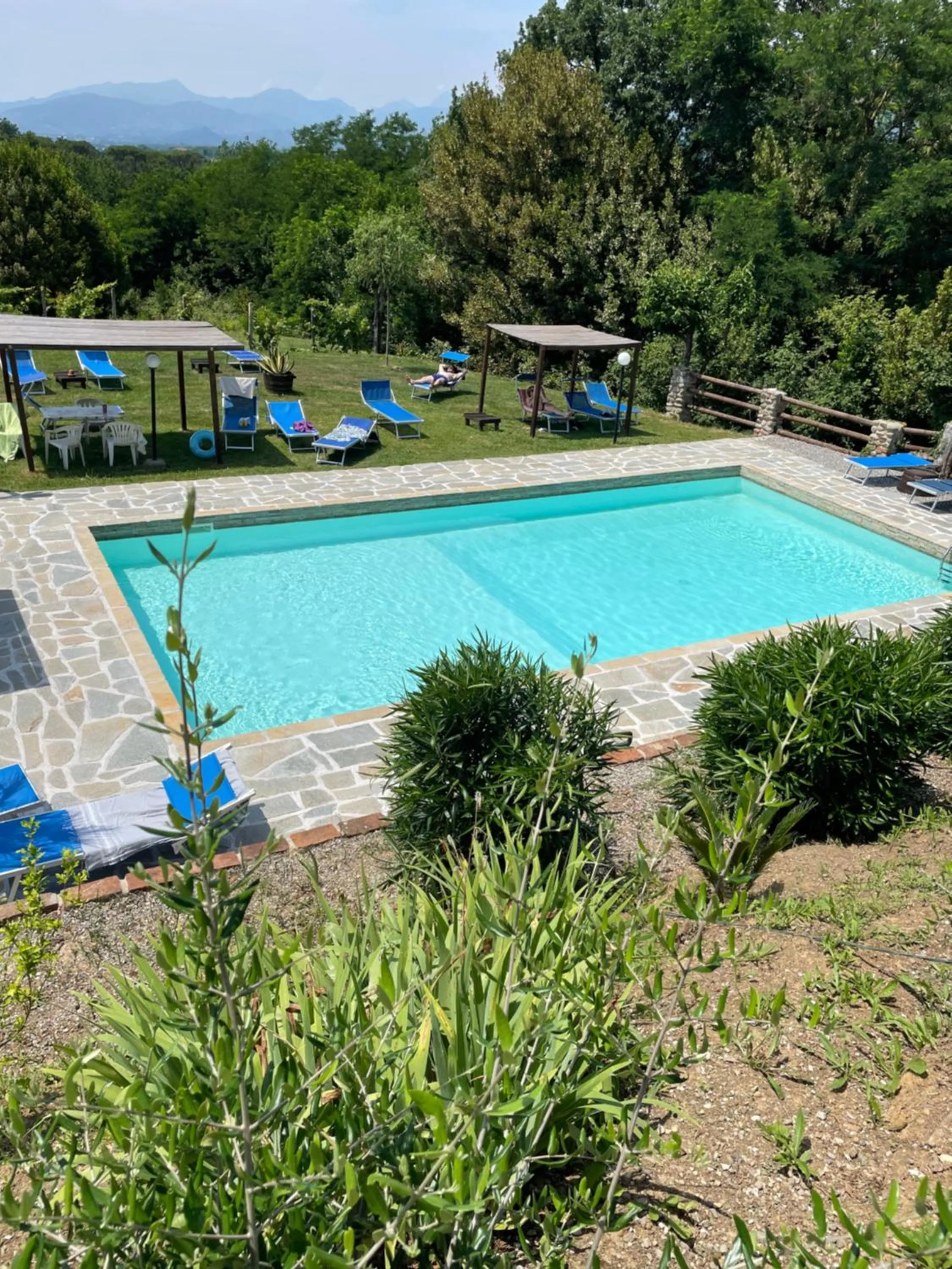 Swimming pool in B&B Alloro