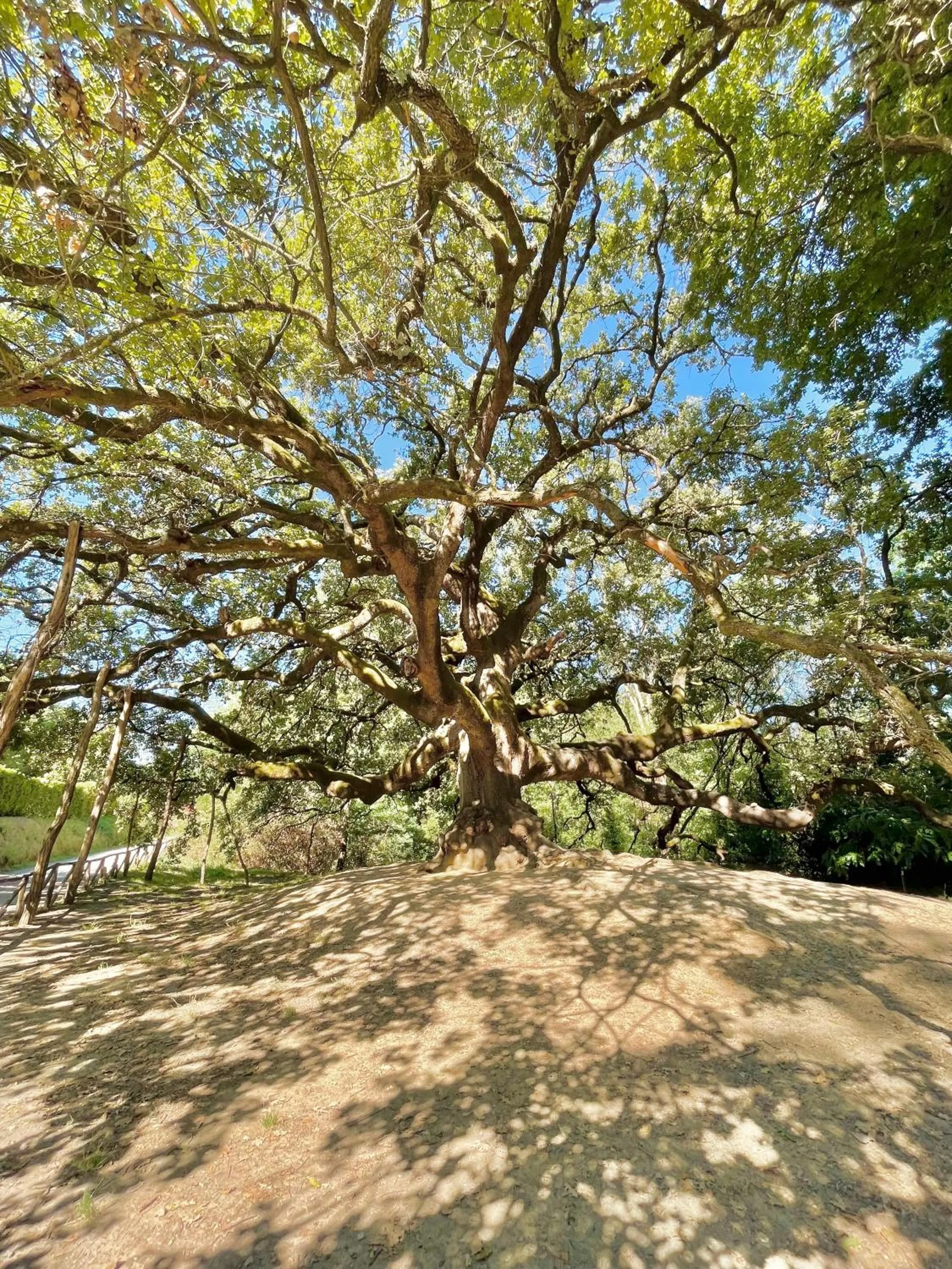 Natural landscape in B&B Alloro